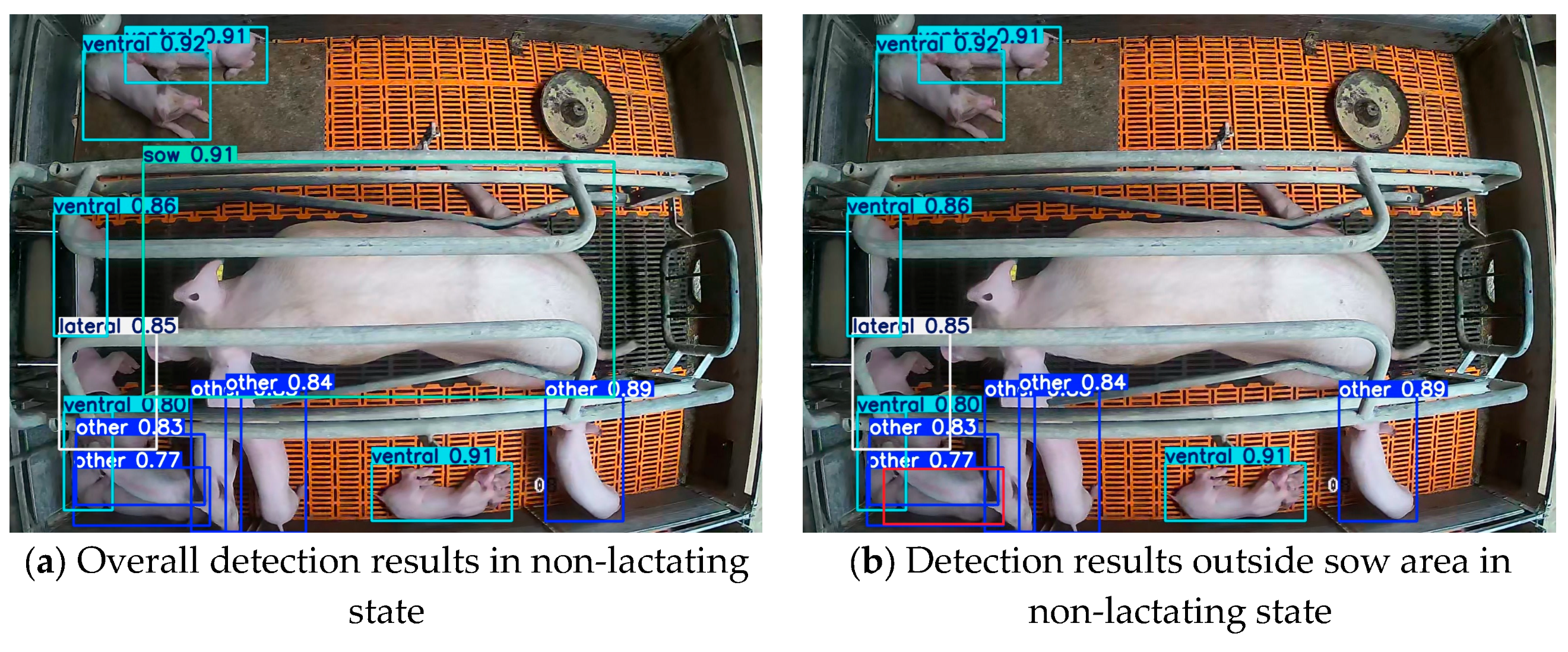 Agriculture 15 00230 g011a