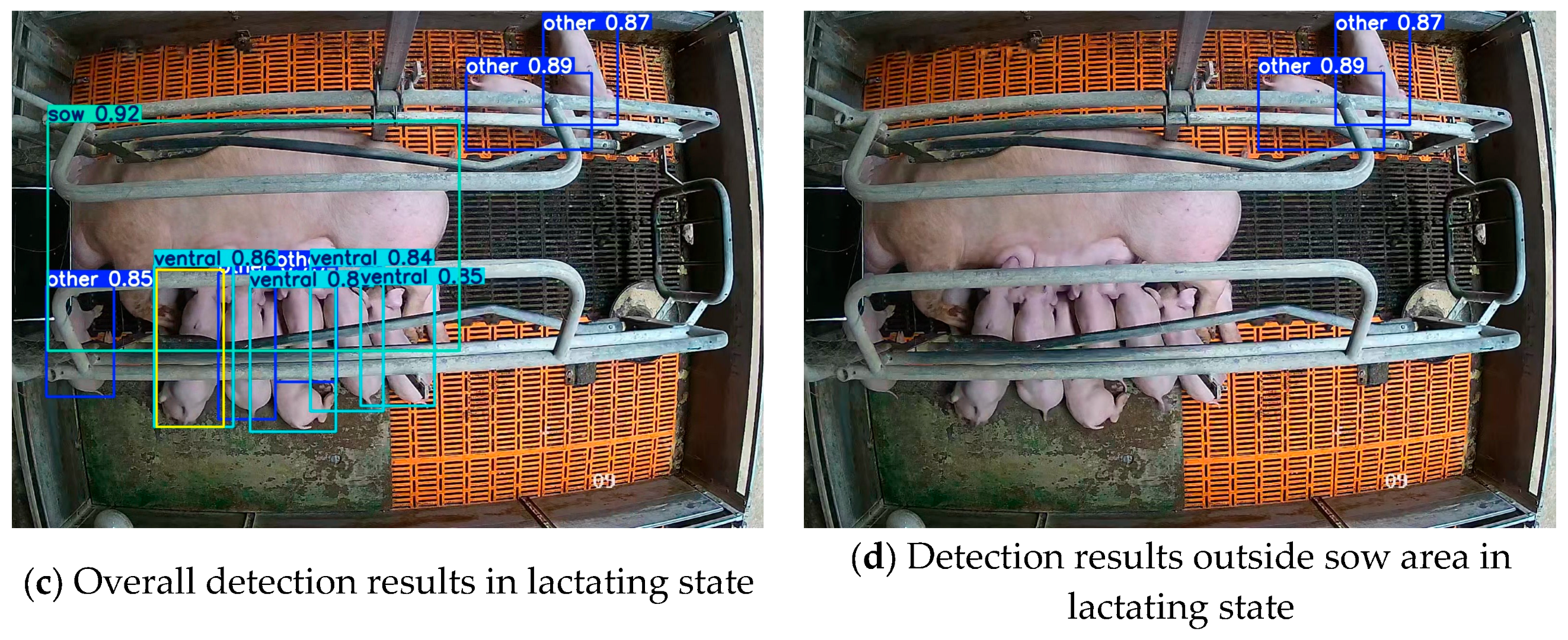Agriculture 15 00230 g011b