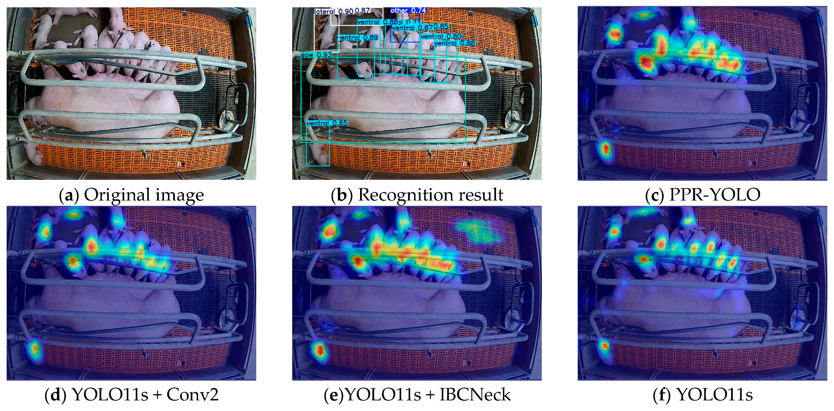 Agriculture 15 00230 g013