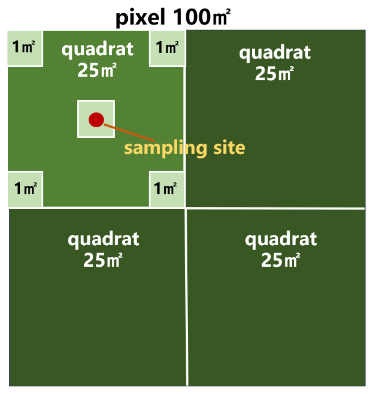 Agriculture 15 00231 g002