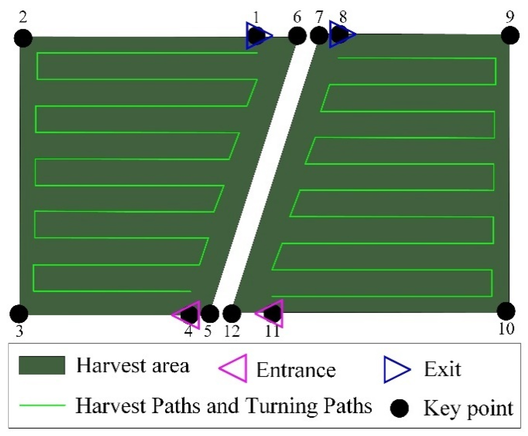 Agriculture 15 00233 g003