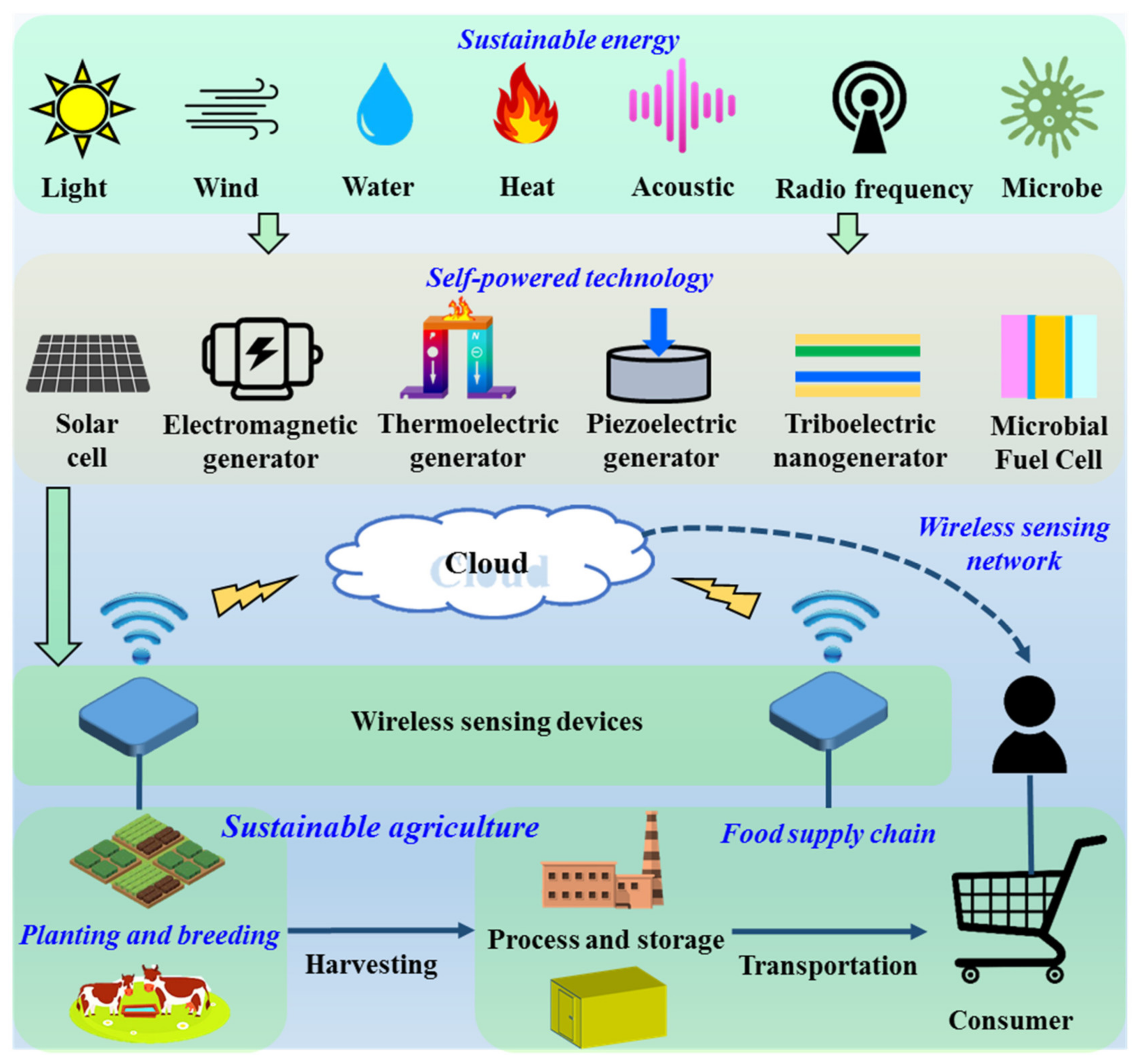 Agriculture 15 00234 g001