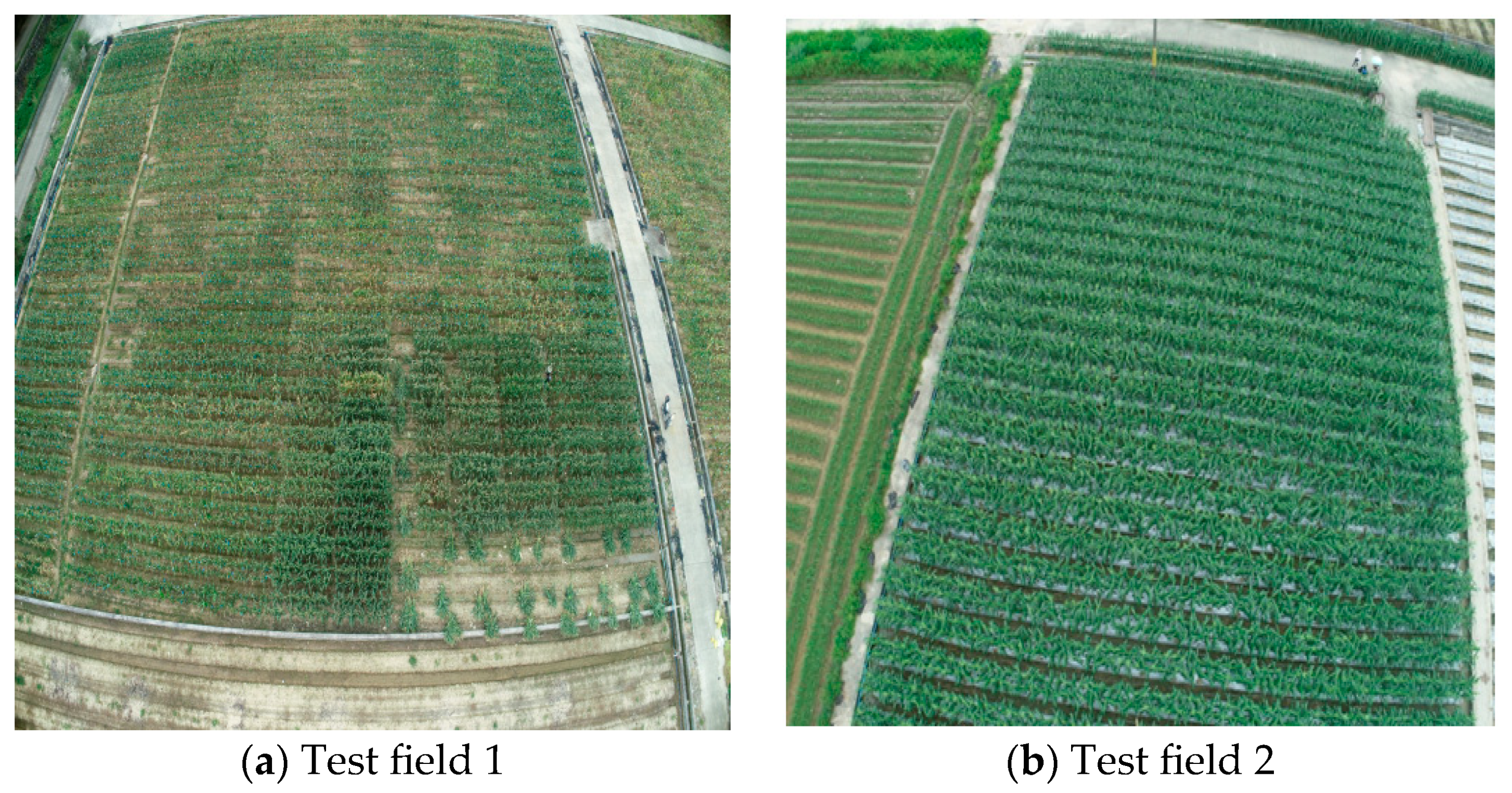 Agriculture 15 00236 g001