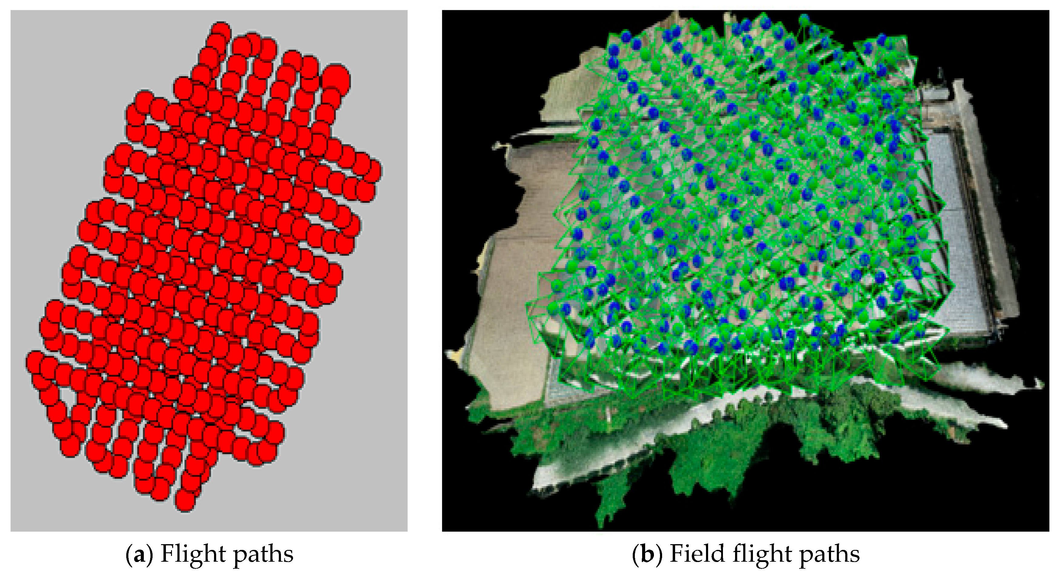 Agriculture 15 00236 g002