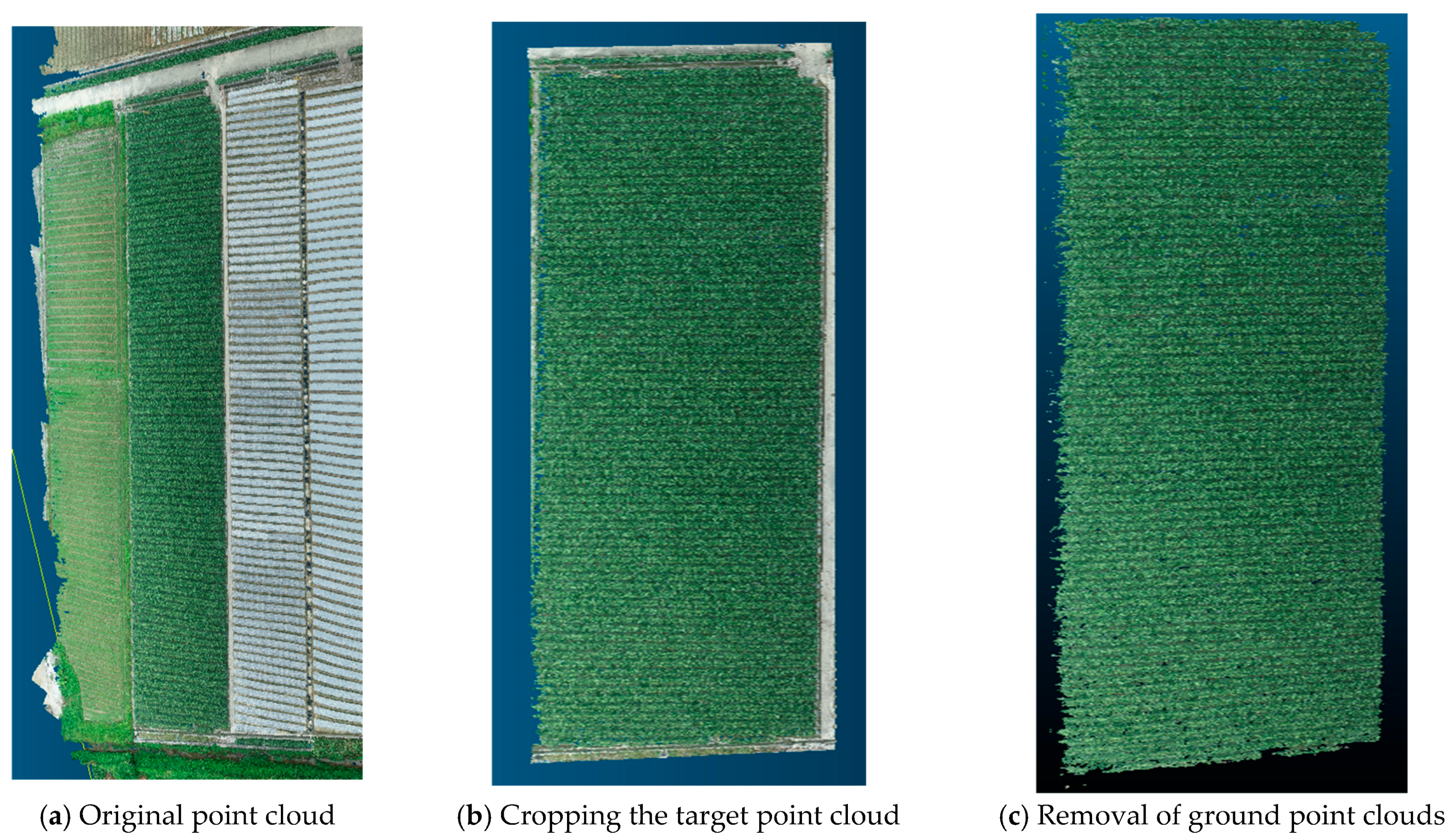 Agriculture 15 00236 g004a