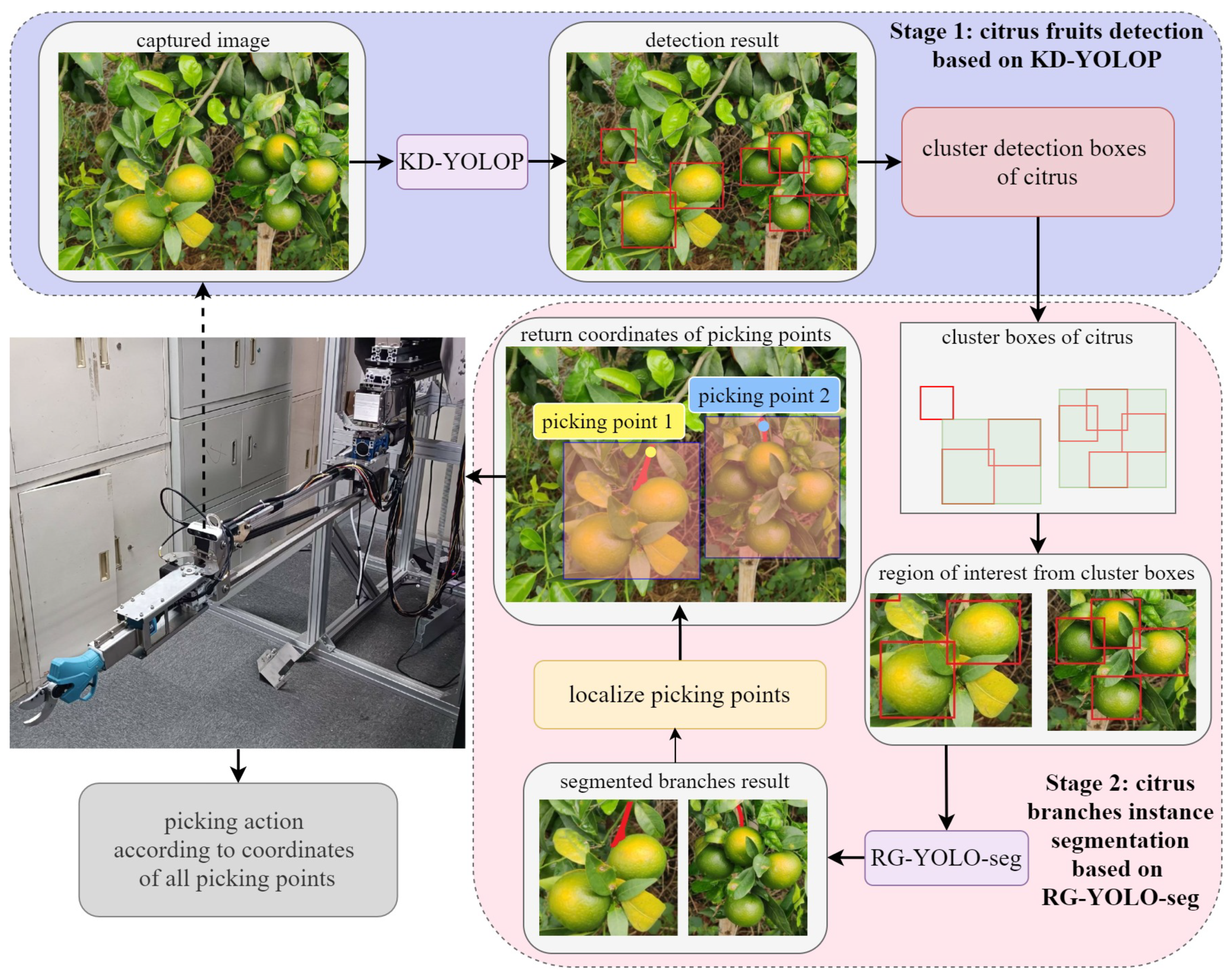 Agriculture 15 00237 g002