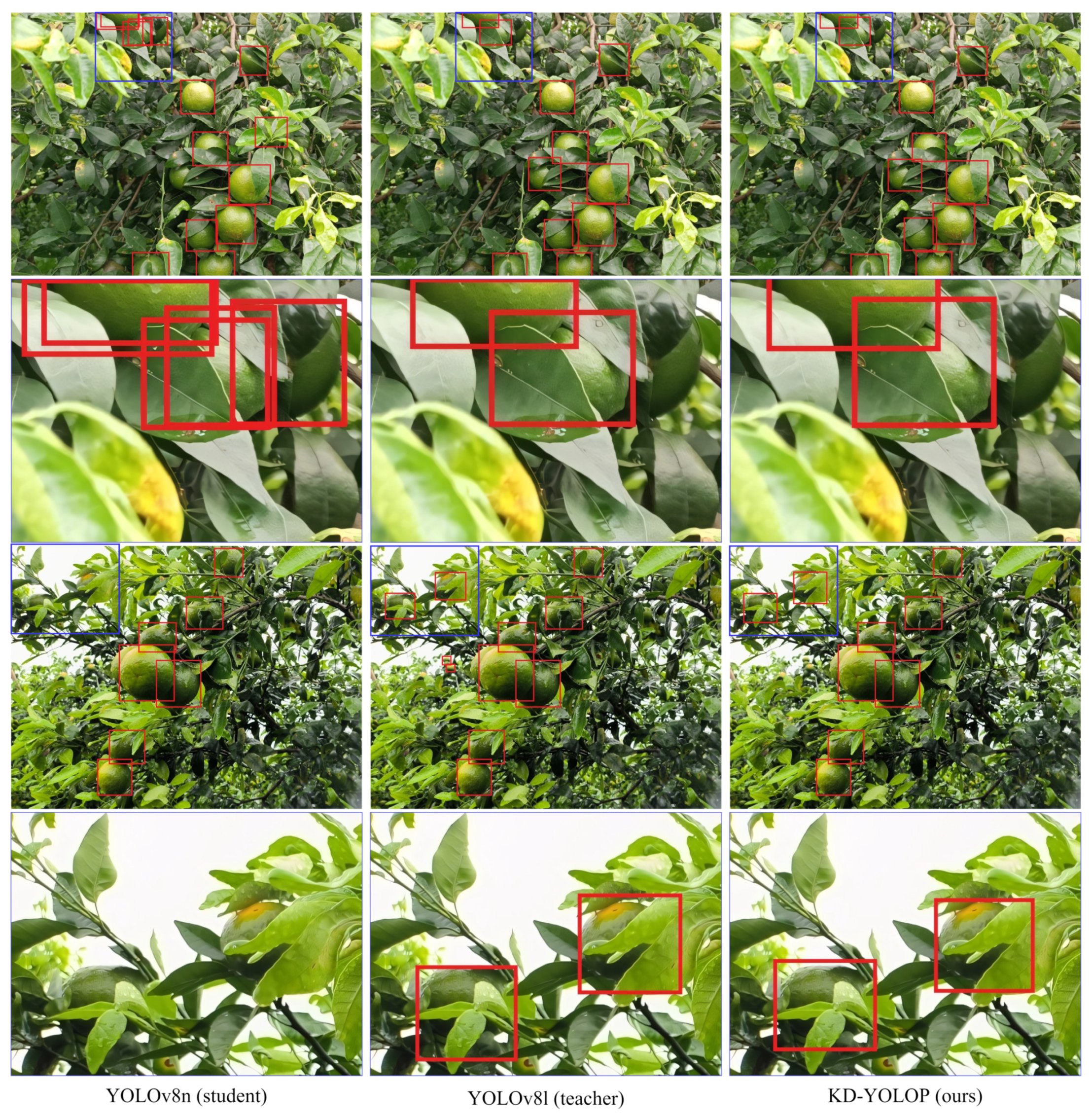 Agriculture 15 00237 g008