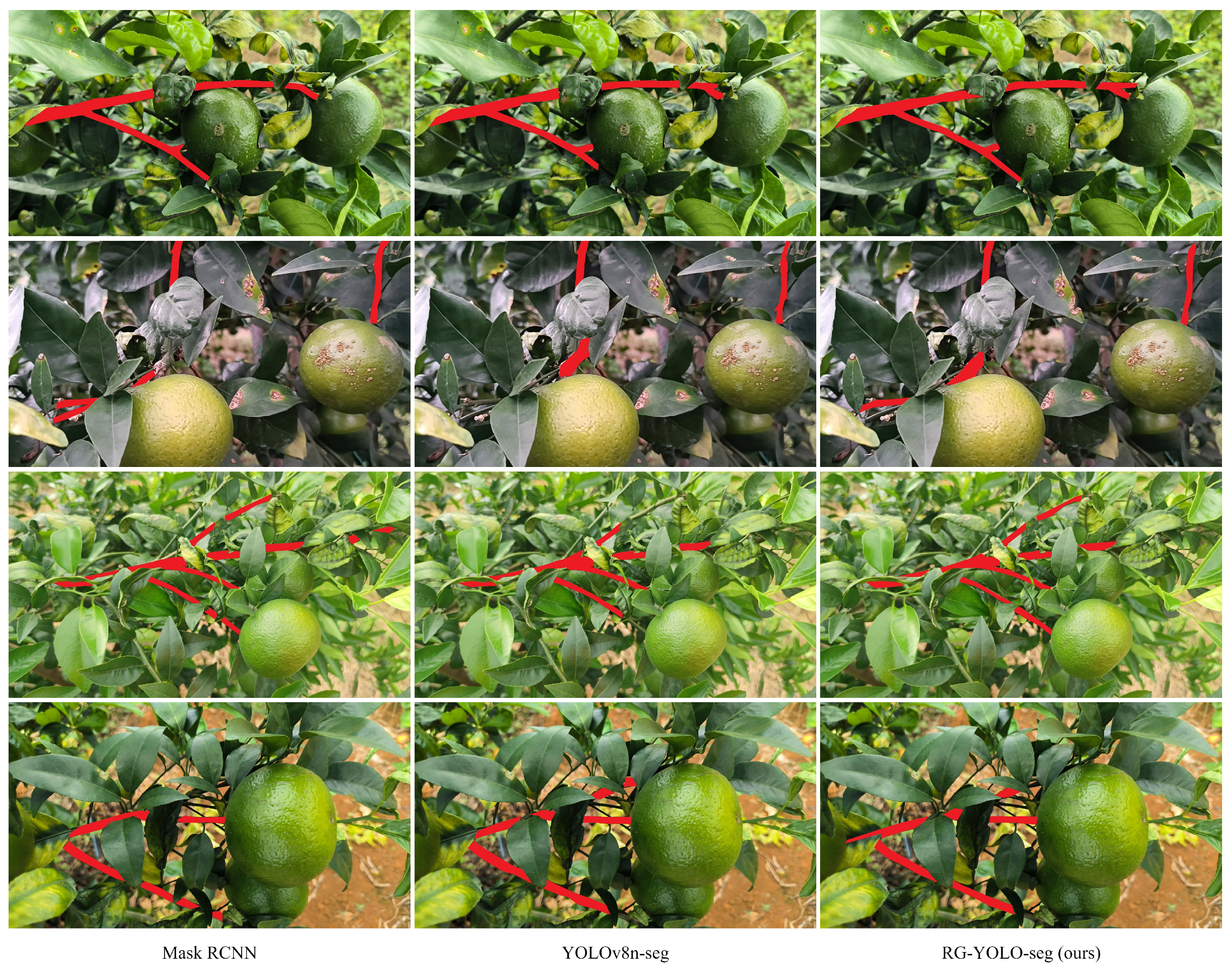 Agriculture 15 00237 g010