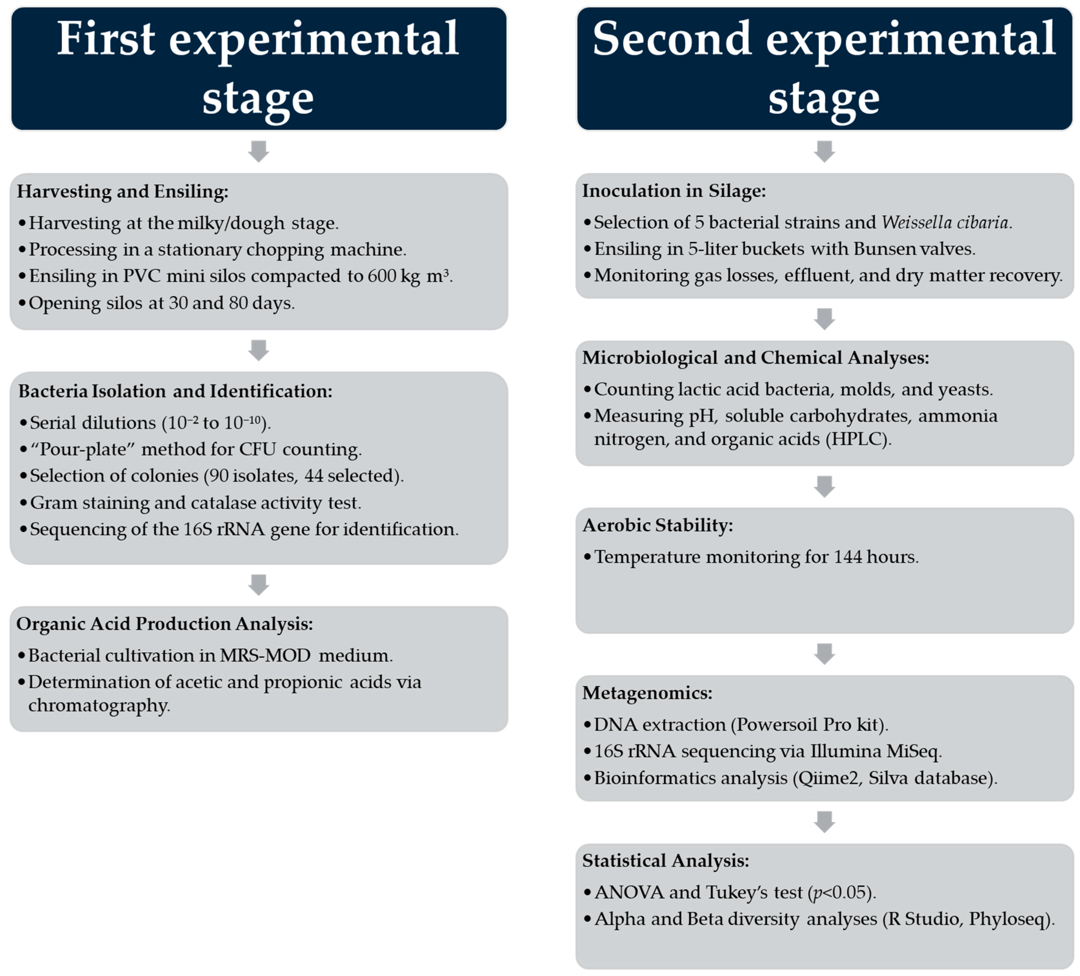 Agriculture 15 00241 g001