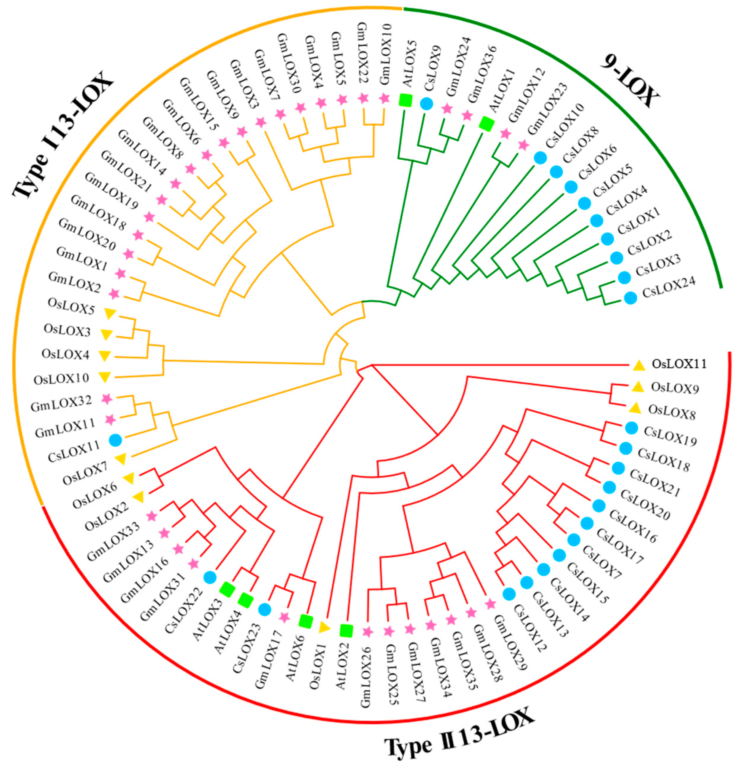 Agriculture 15 00245 g001