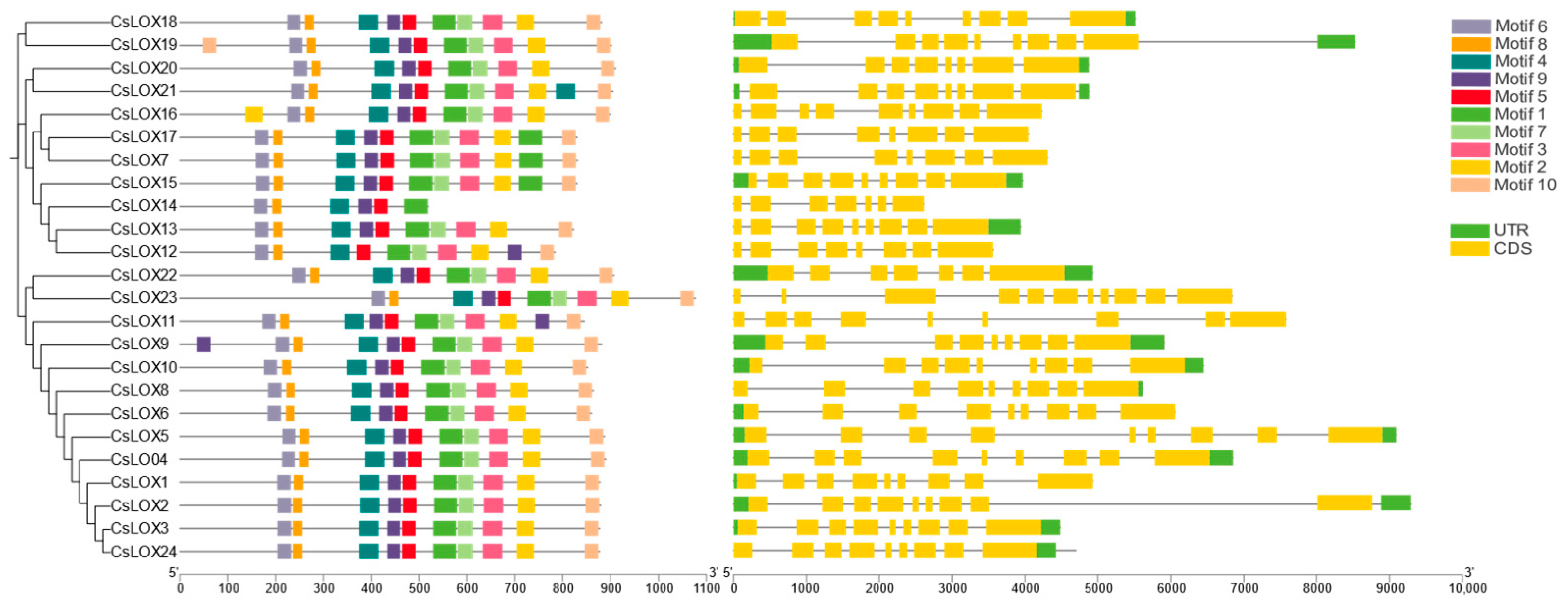 Agriculture 15 00245 g002