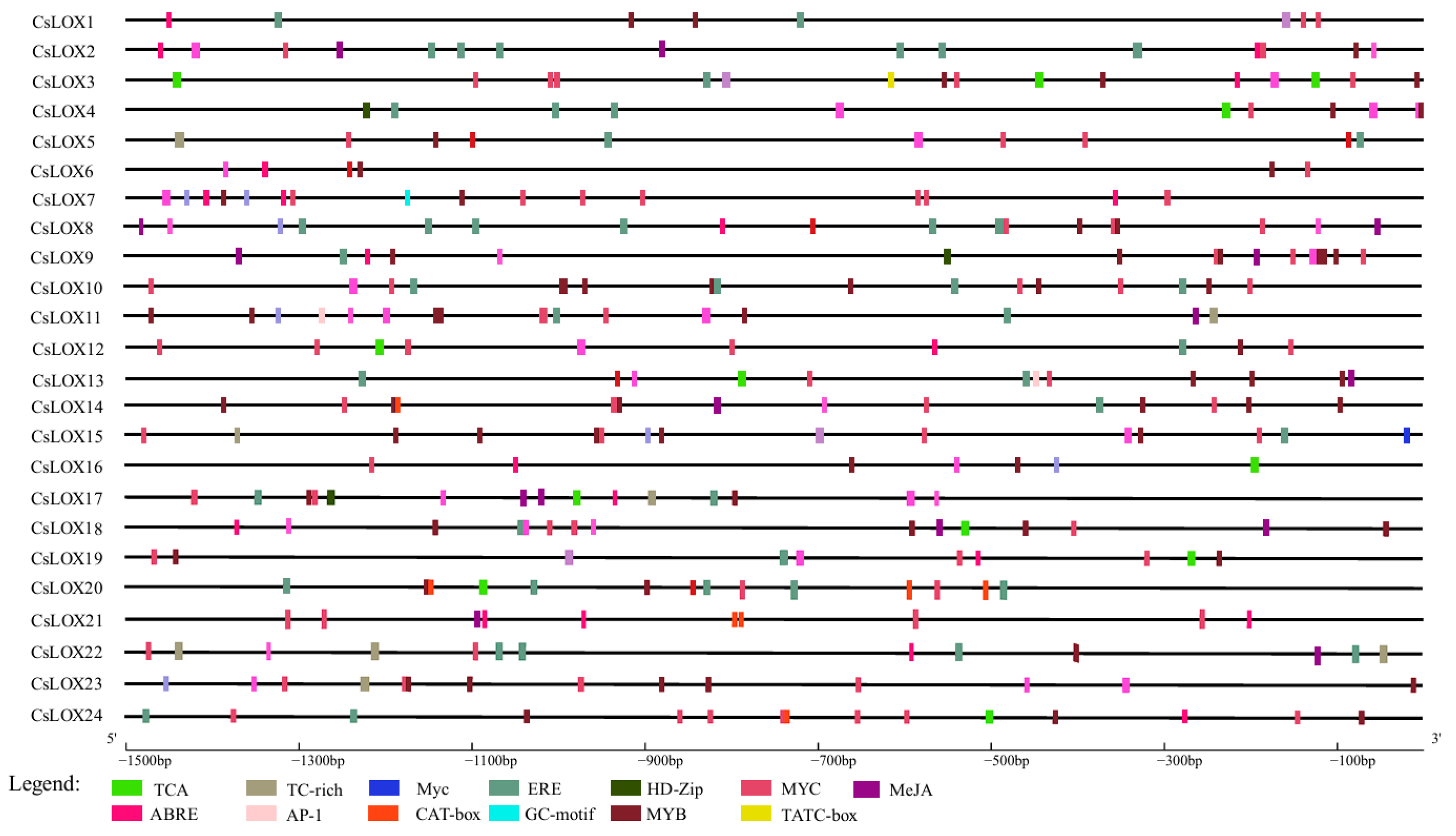 Agriculture 15 00245 g003