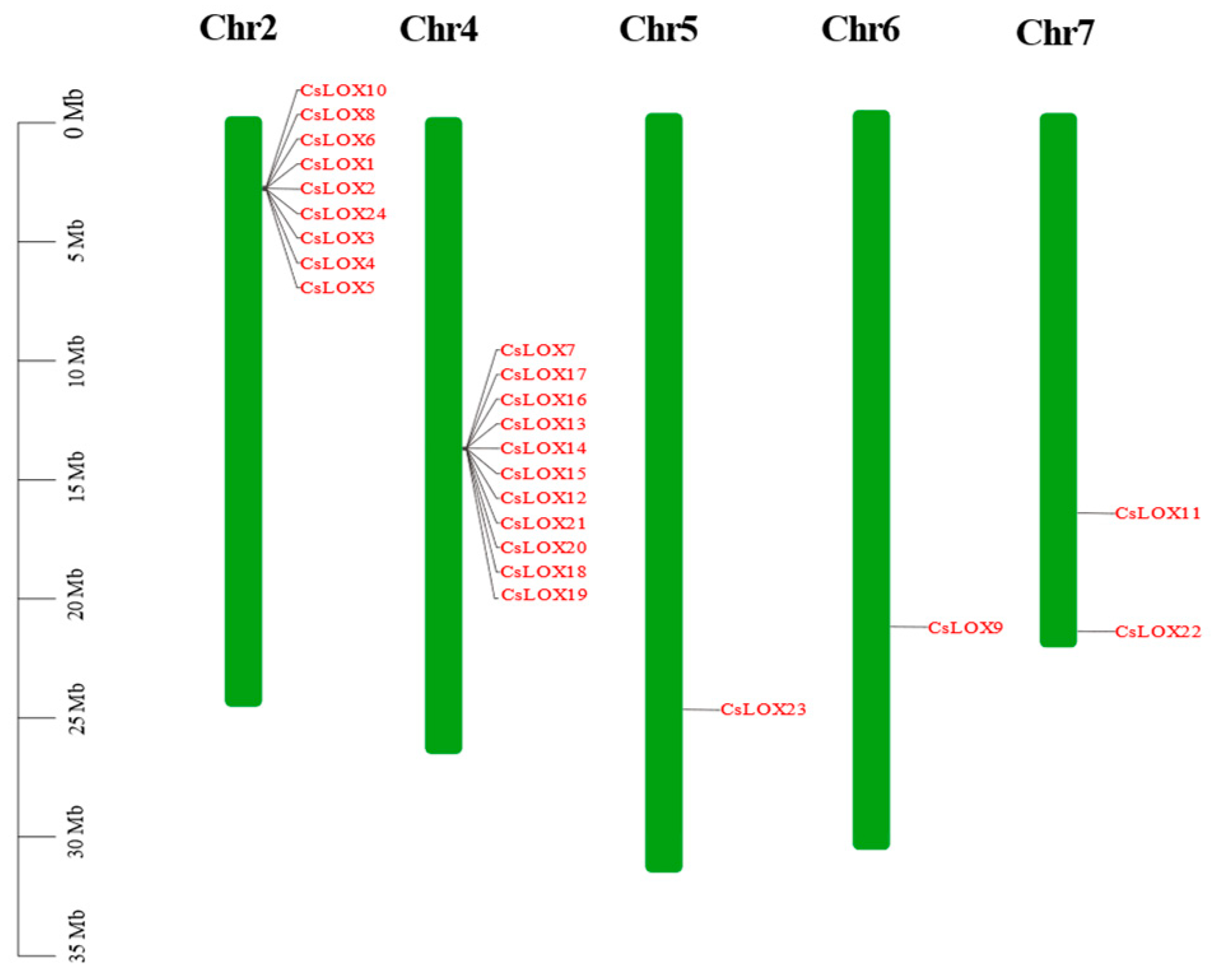 Agriculture 15 00245 g004