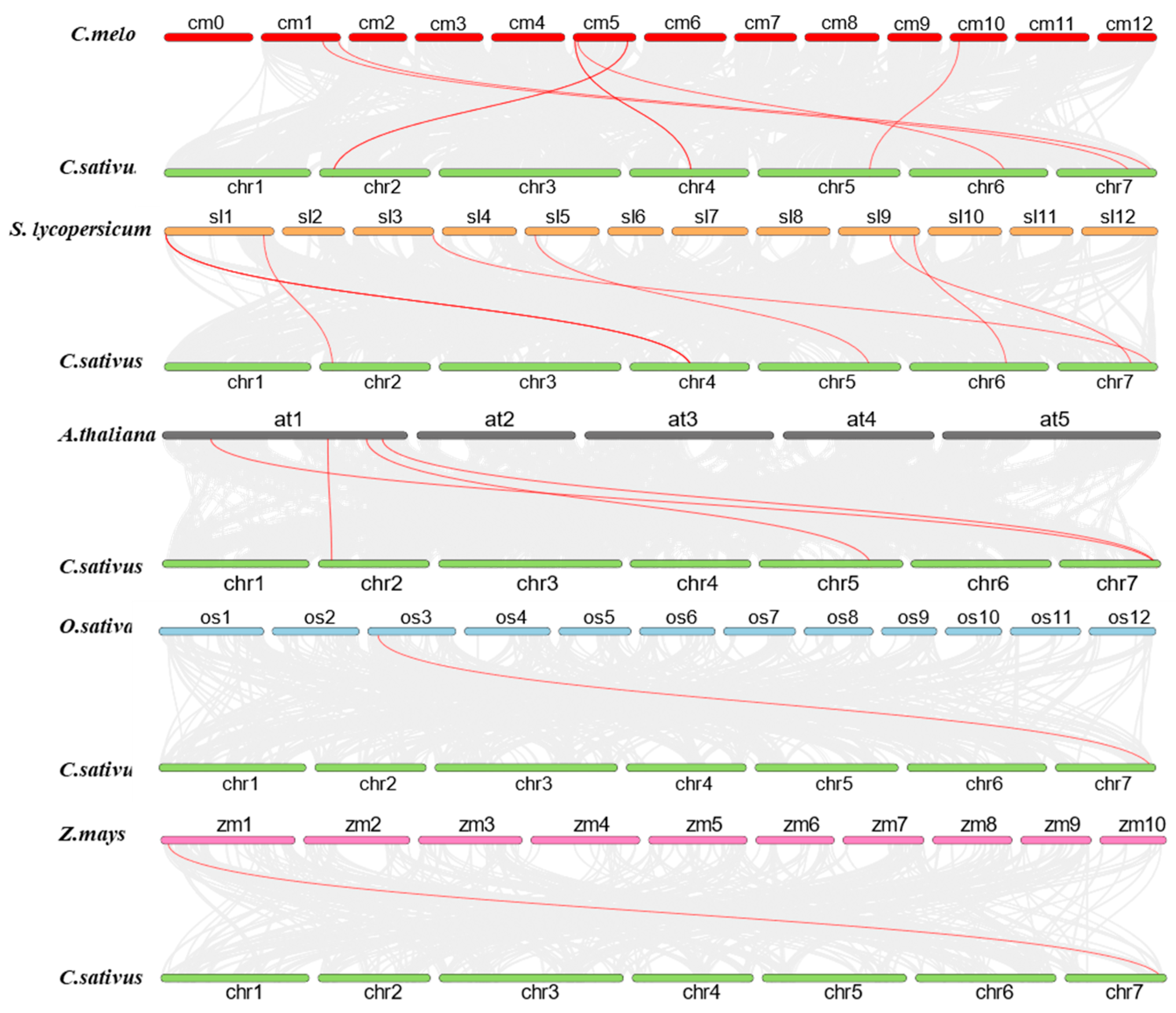 Agriculture 15 00245 g005