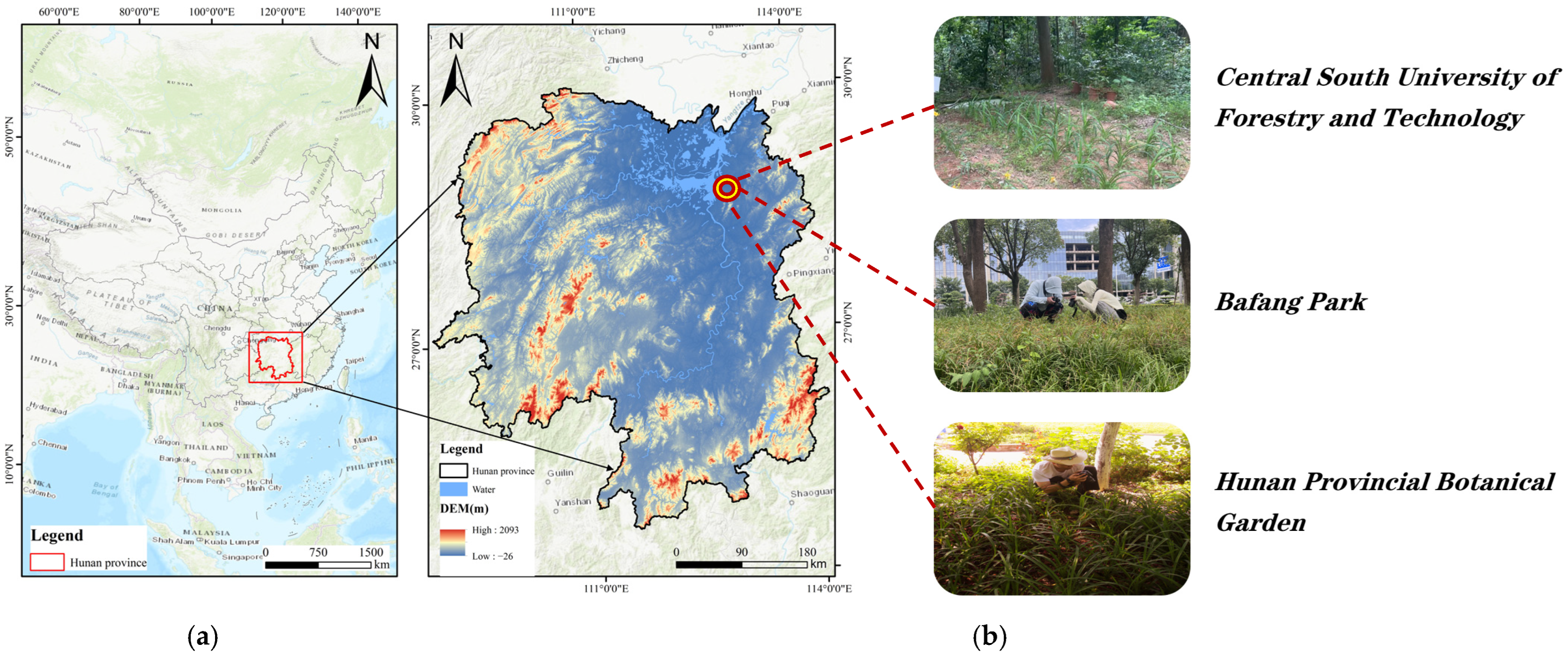 Agriculture 15 00262 g001