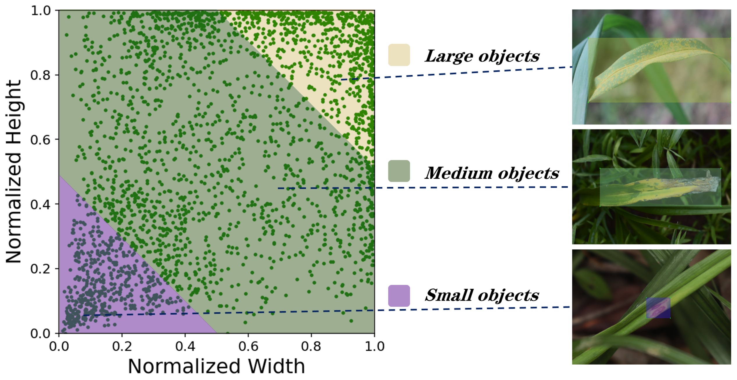 Agriculture 15 00262 g003