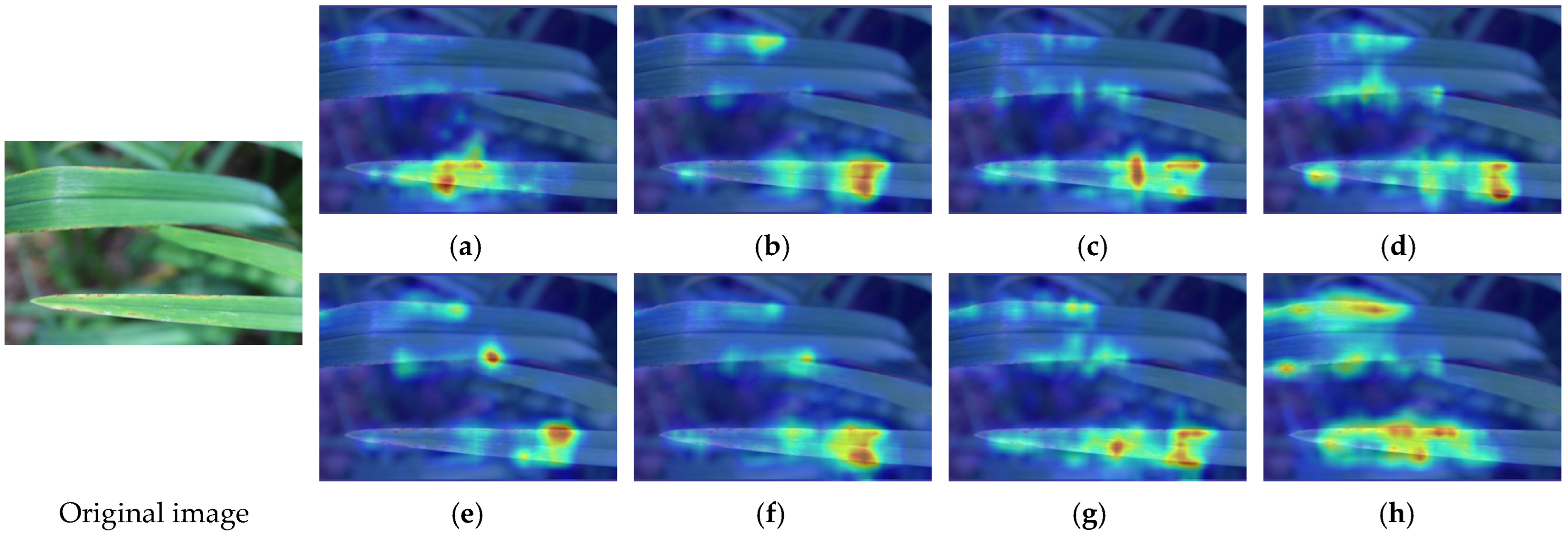 Agriculture 15 00262 g014