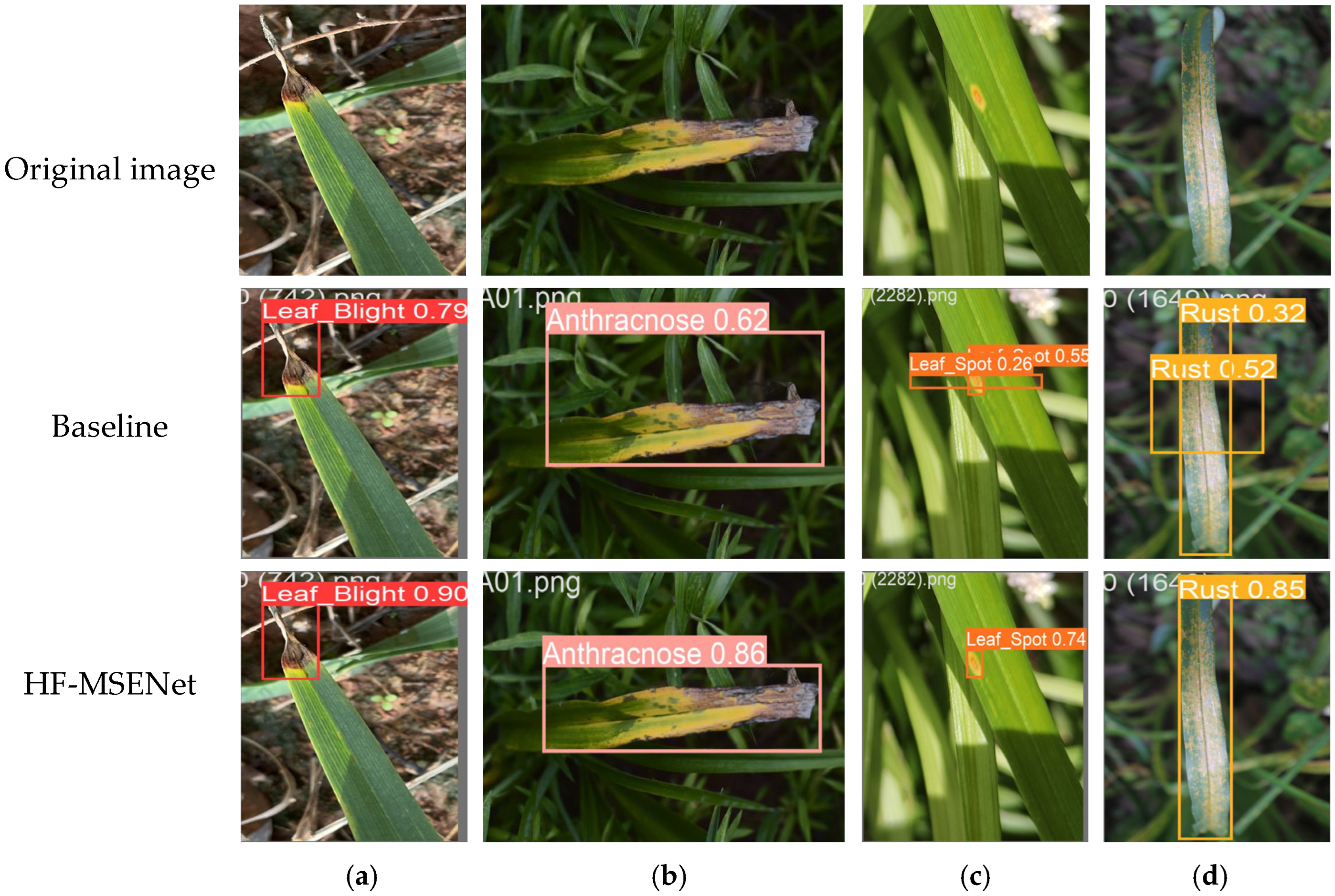 Agriculture 15 00262 g015