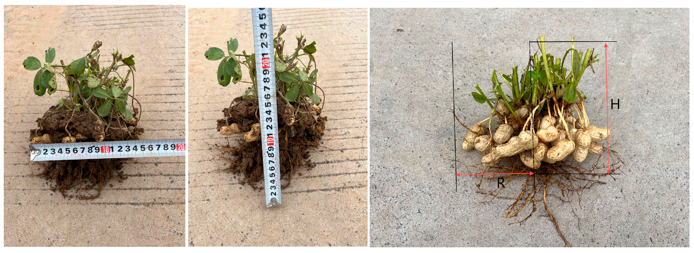 Agriculture 15 00265 g001