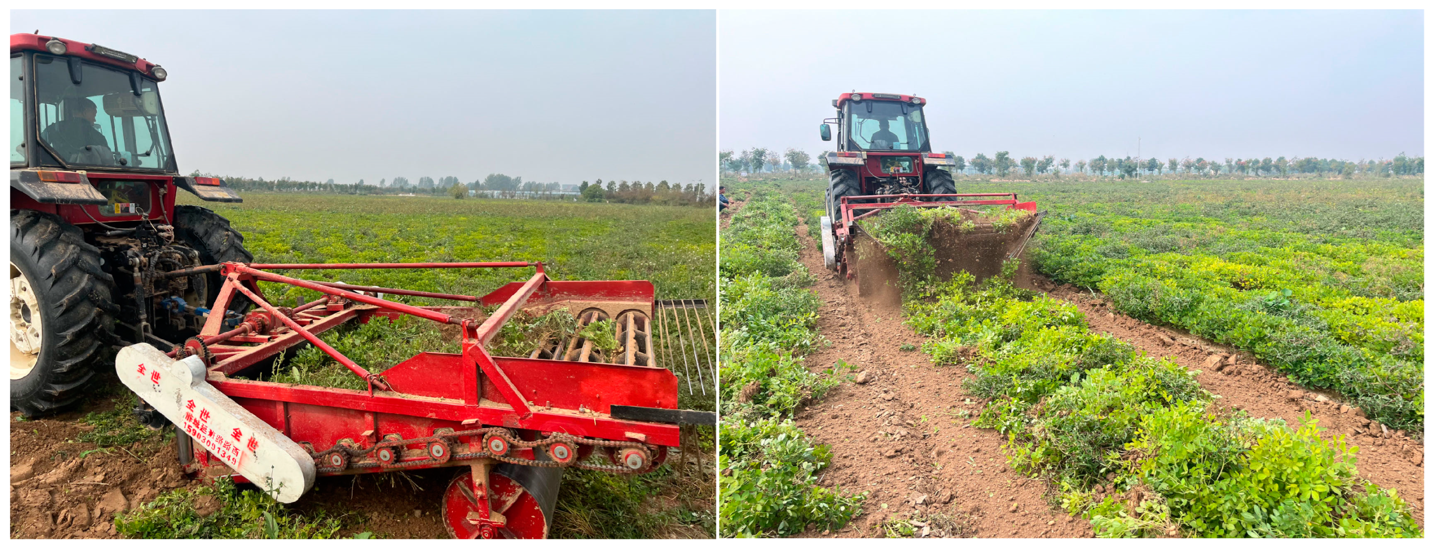 Agriculture 15 00265 g008