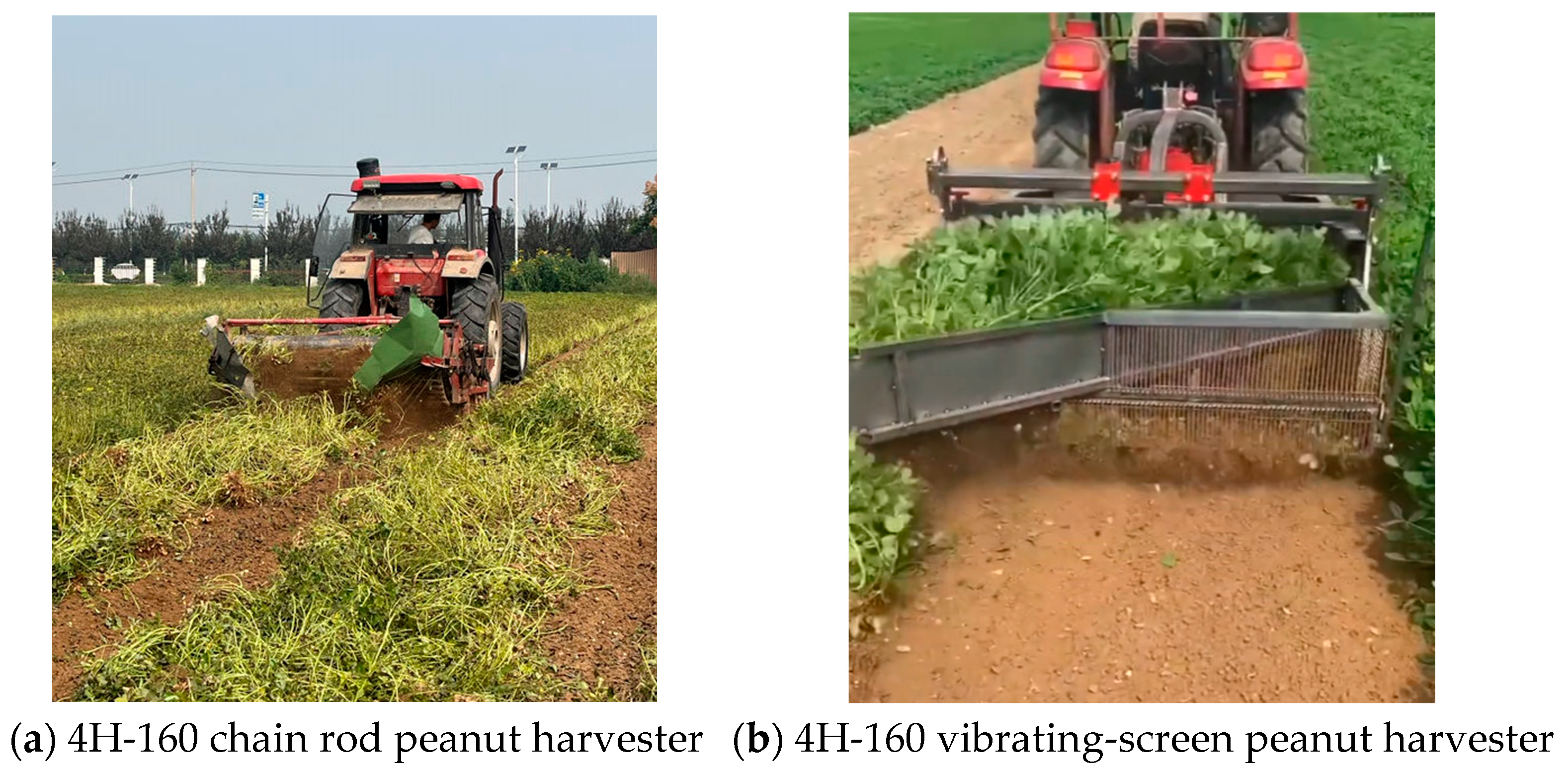 Agriculture 15 00265 g010