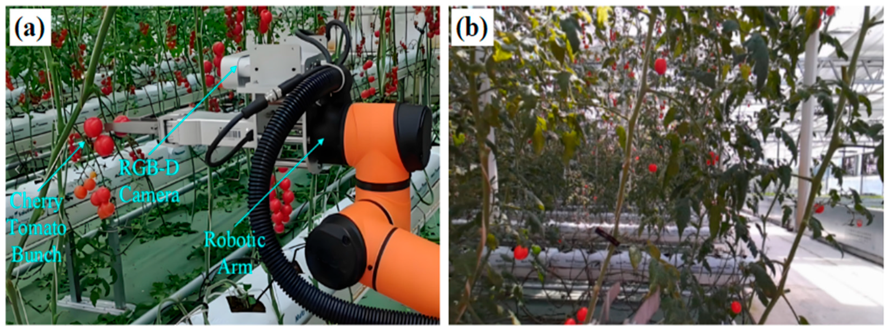 Agriculture 15 00271 g007