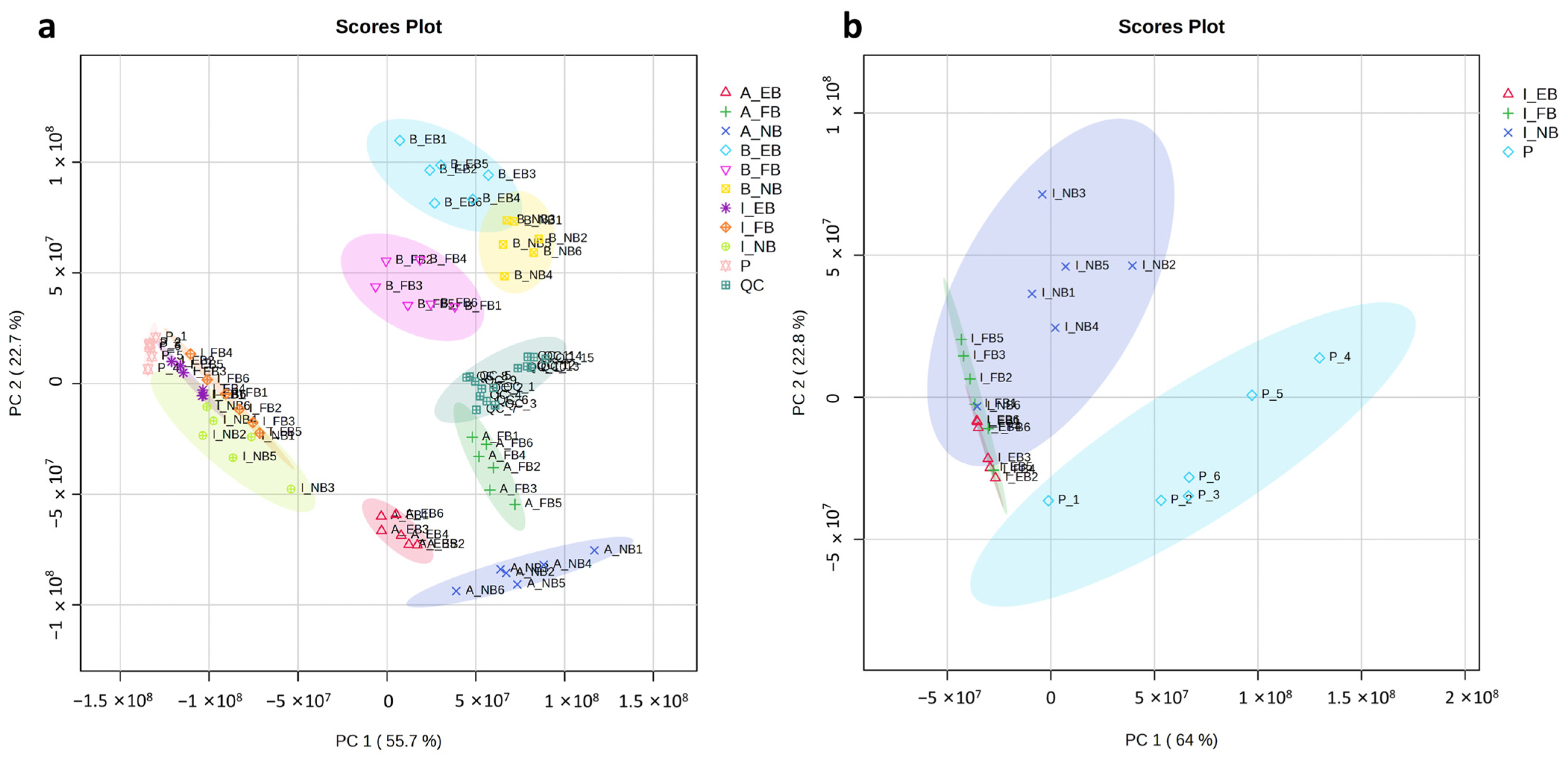 Agriculture 15 00272 g002