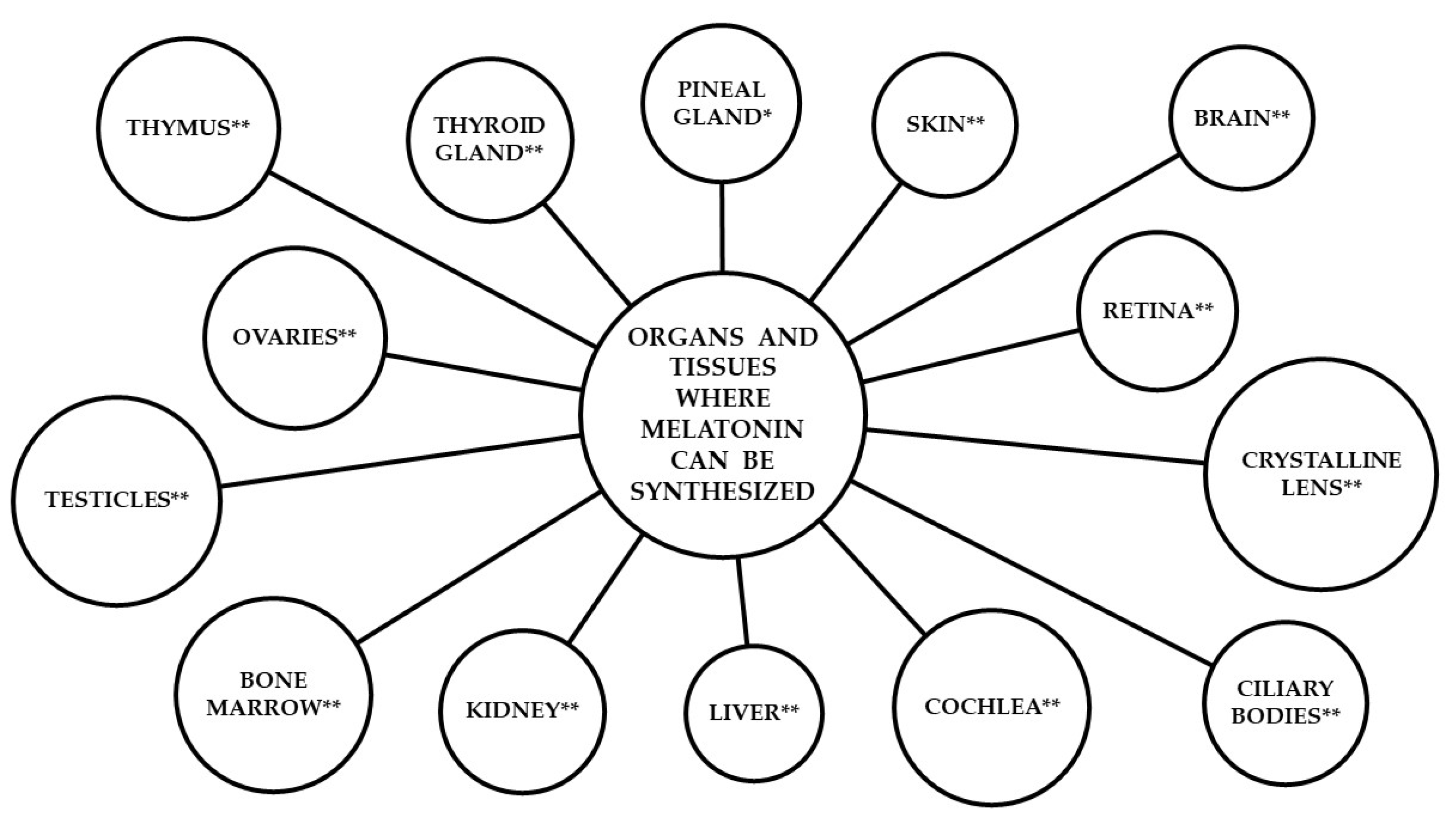 Agriculture 15 00273 g001