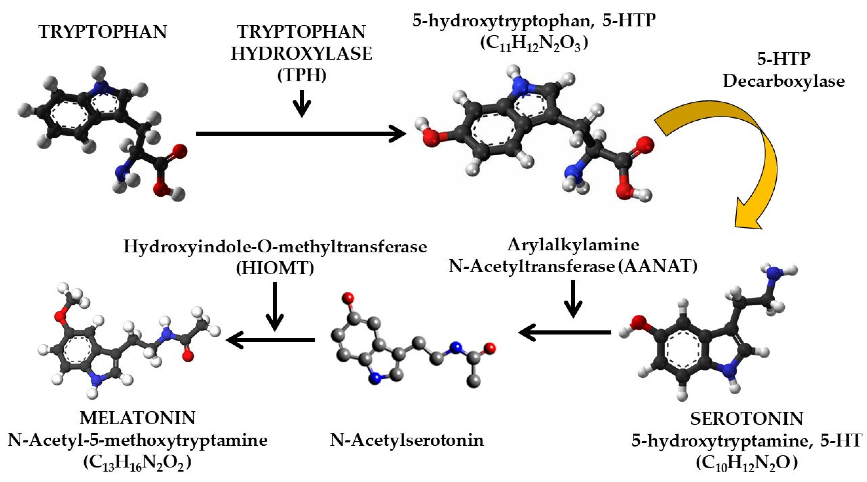 Agriculture 15 00273 g002