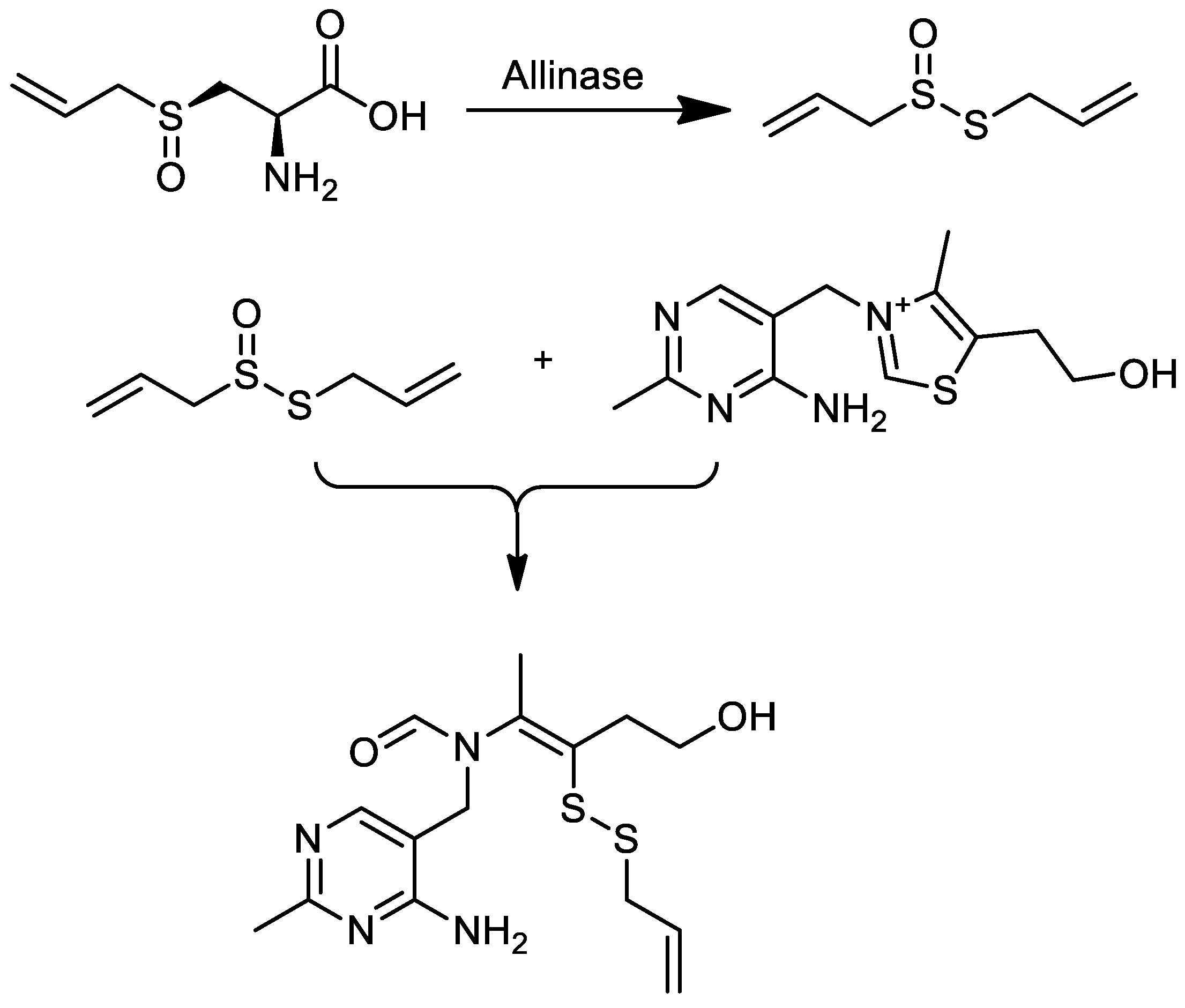 Agriculture 15 00284 g001 Agriculture 15 00284 g001