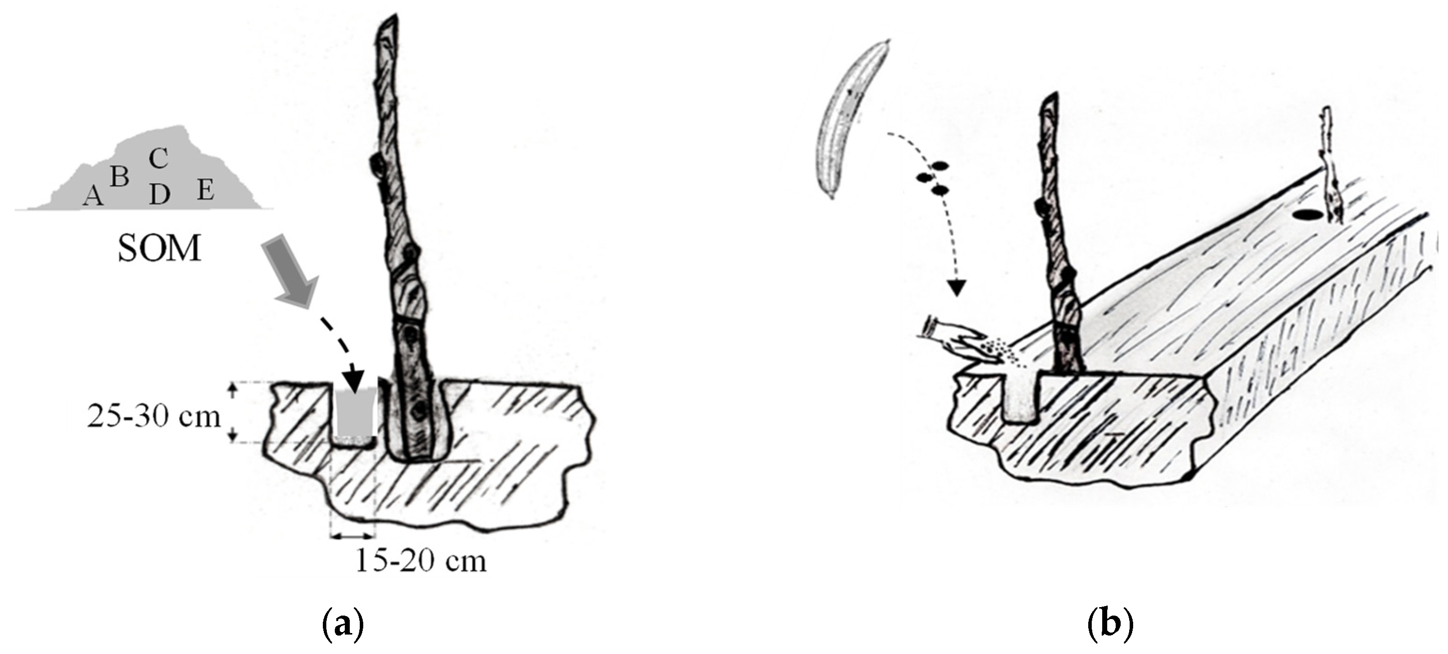 Agriculture 15 00287 g002