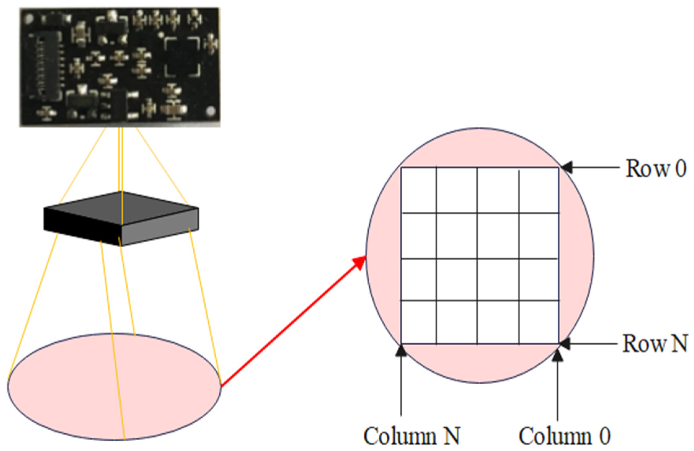 Agriculture 15 00290 g008