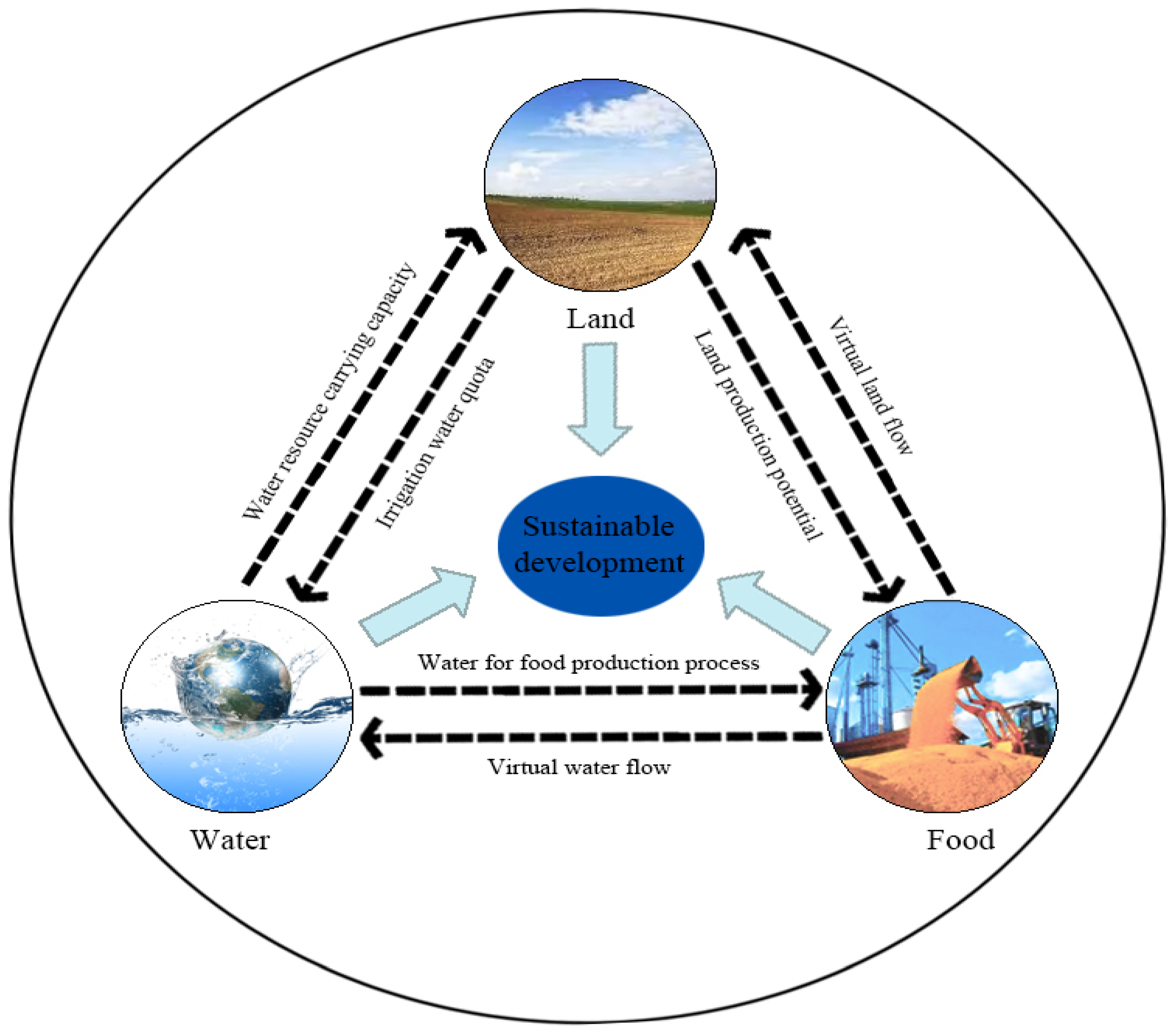 Agriculture 15 00291 g001