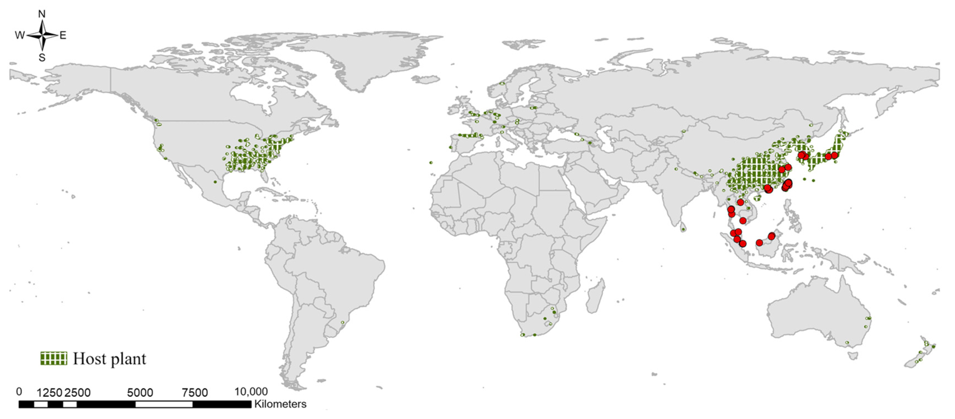 Agriculture 15 00297 g001
