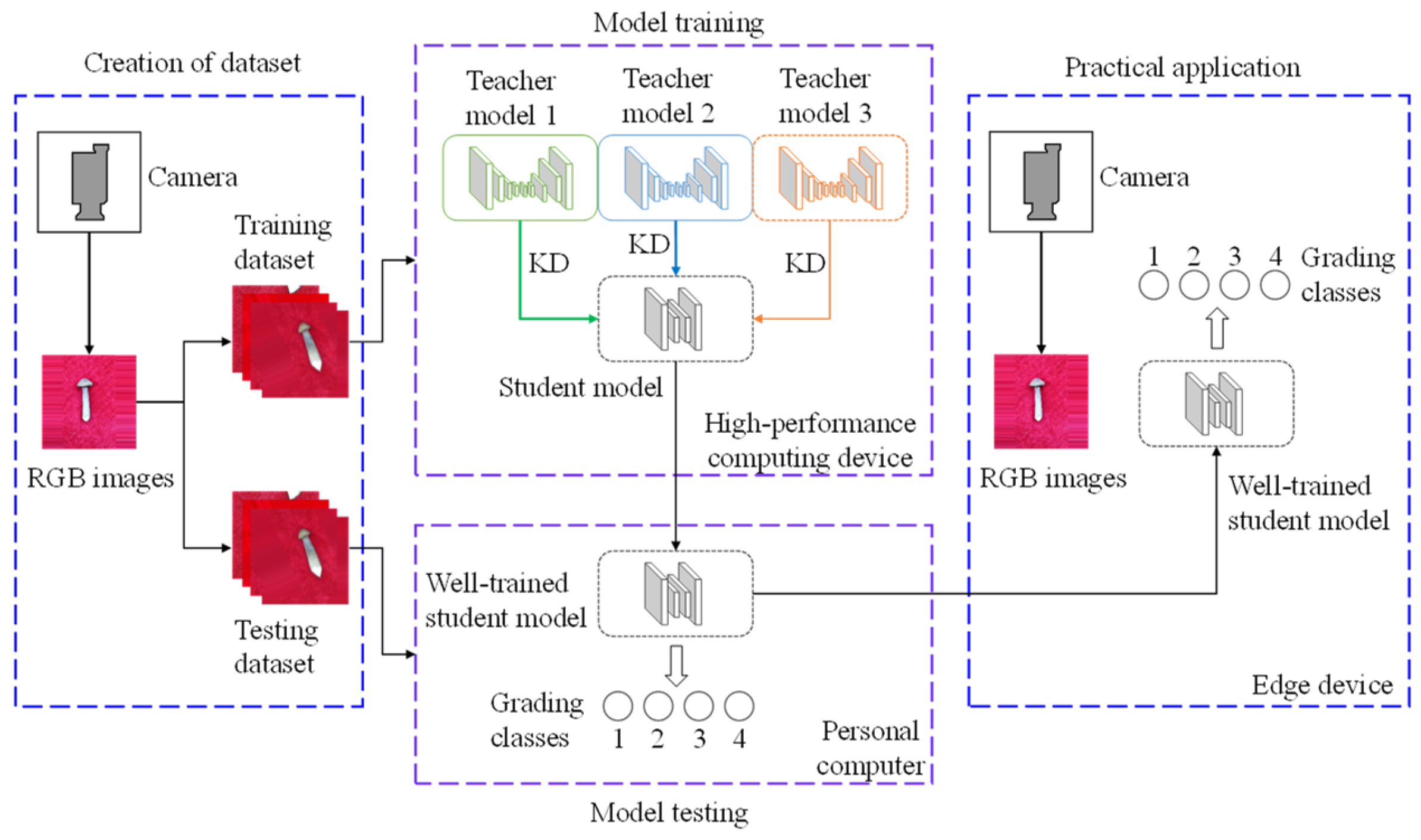Agriculture 15 00301 g001