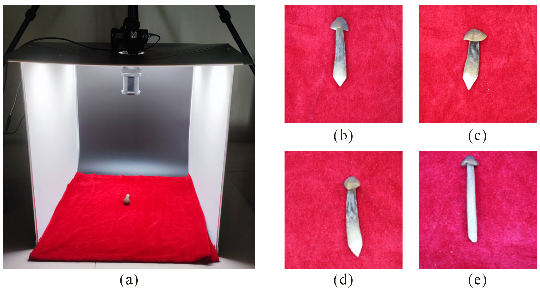 Agriculture 15 00301 g002