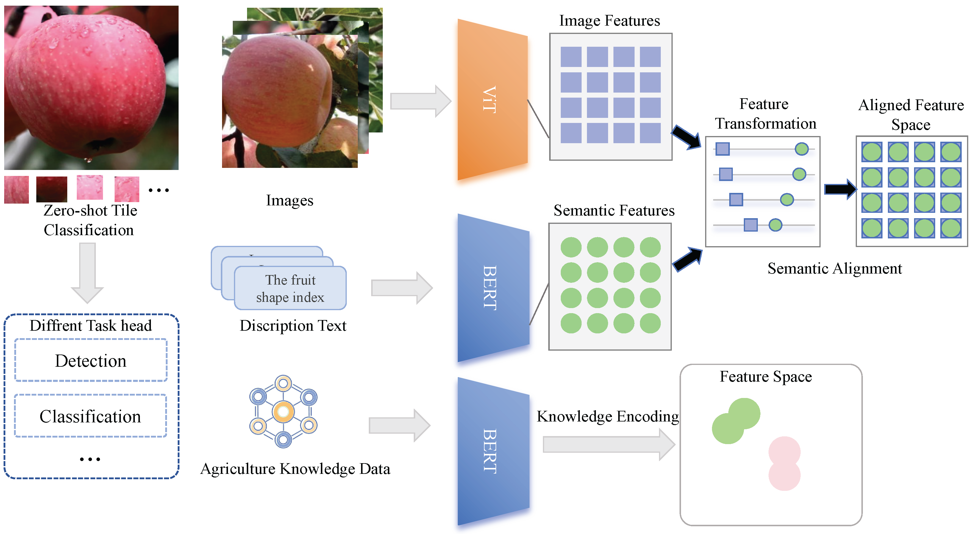 Agriculture 15 00305 g003