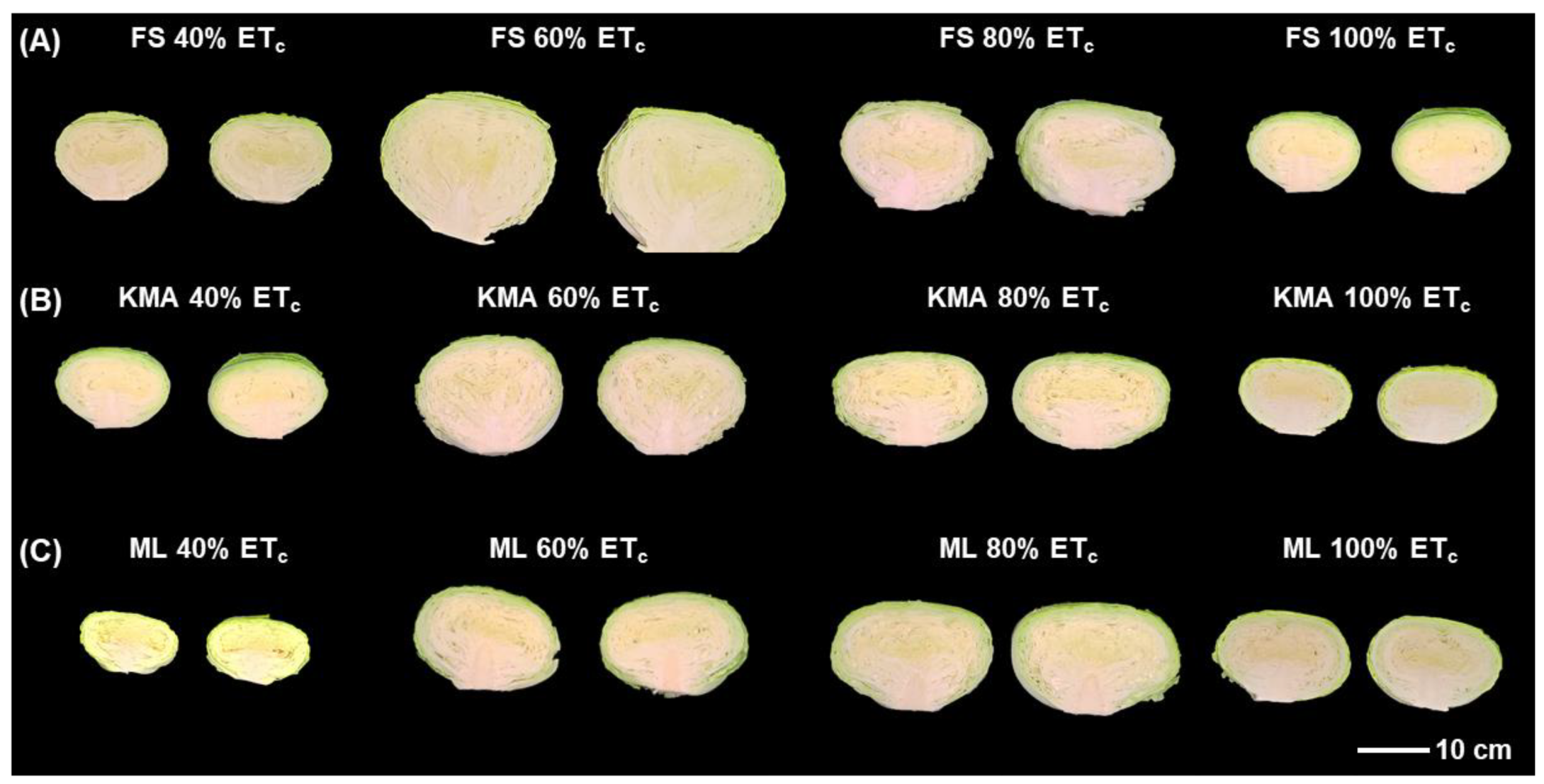 Agriculture 15 00308 g006