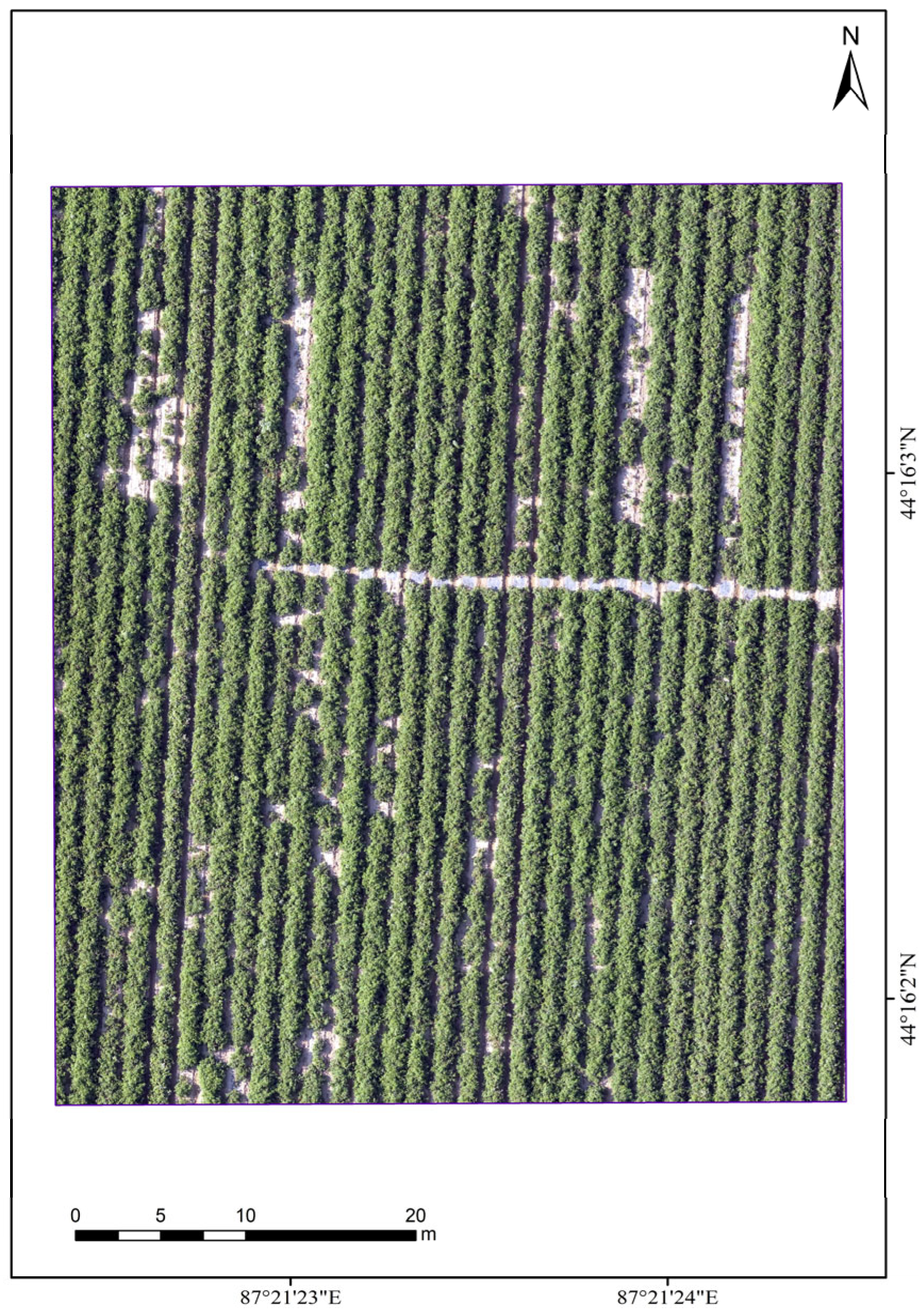 Agriculture 15 00309 g003 Agriculture 15 00309 g003