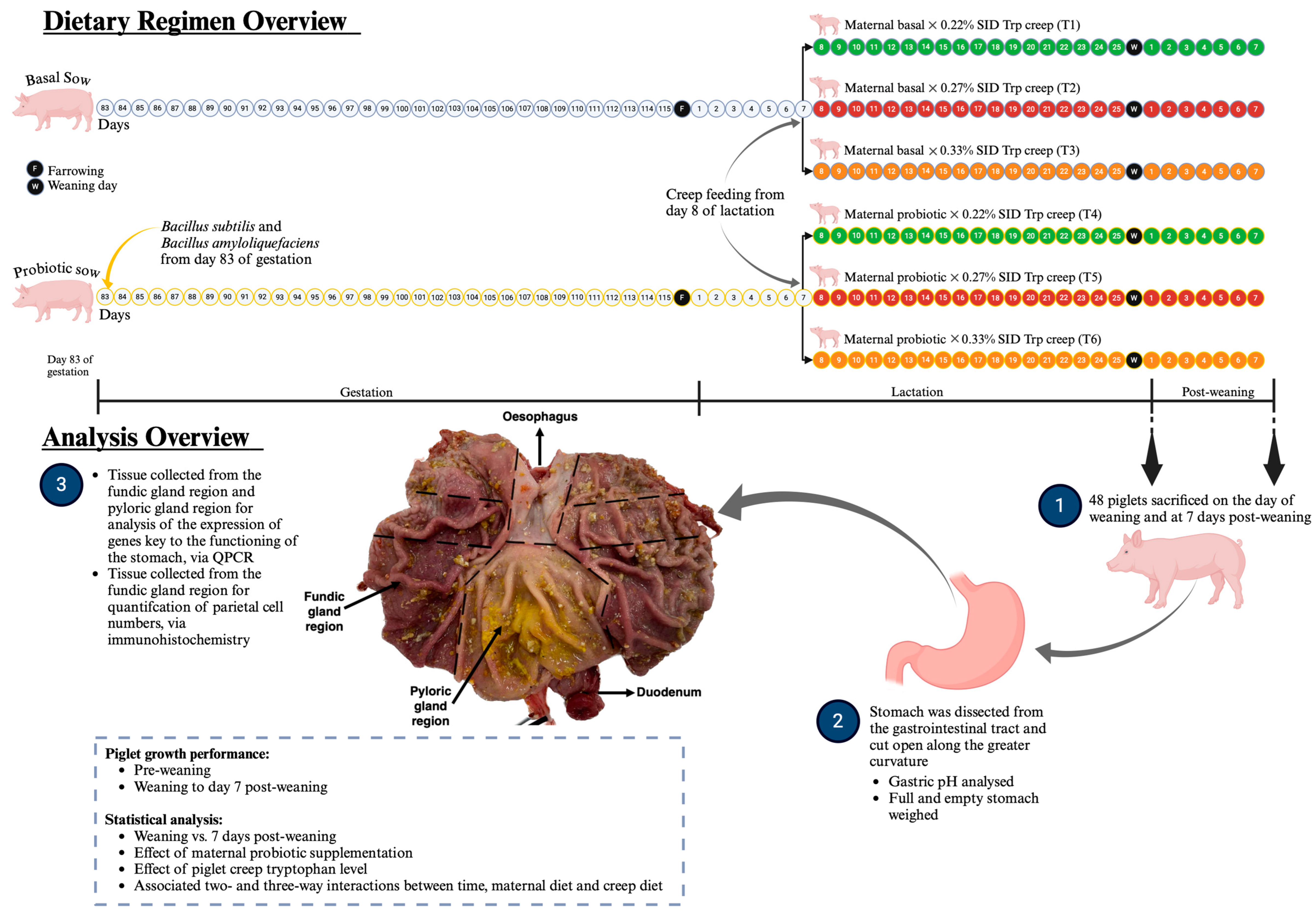 Agriculture 15 00310 g003