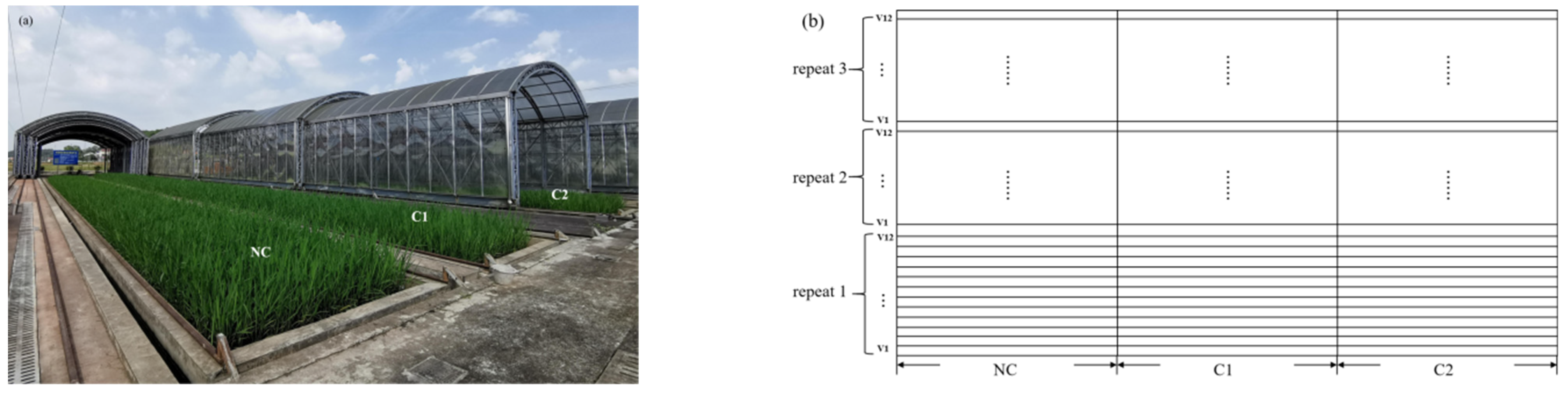 Agriculture 15 00311 g001