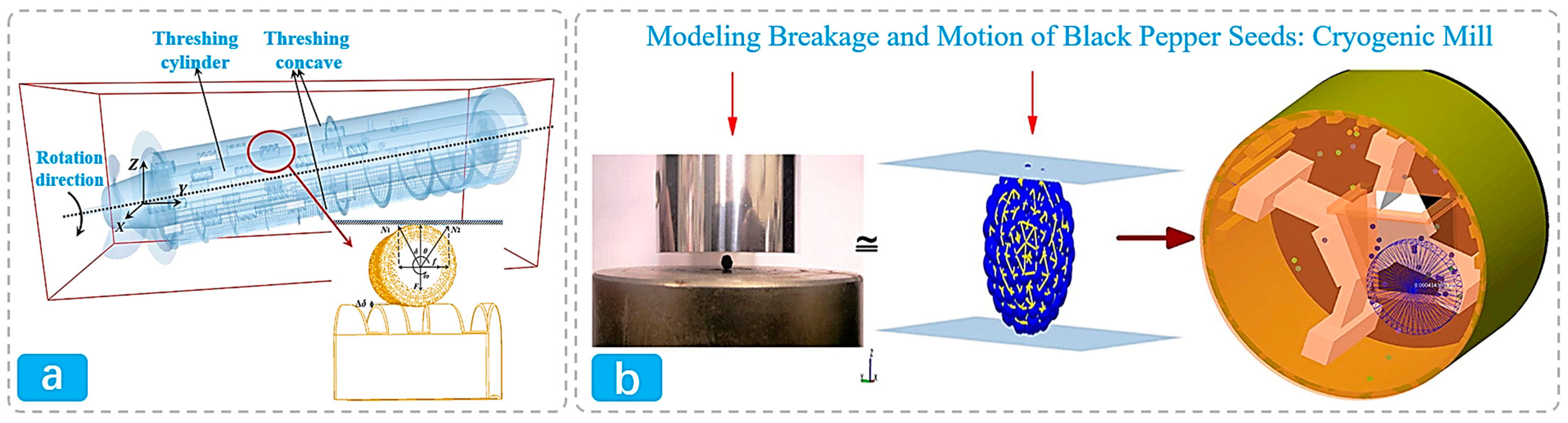 Agriculture 15 00315 g003