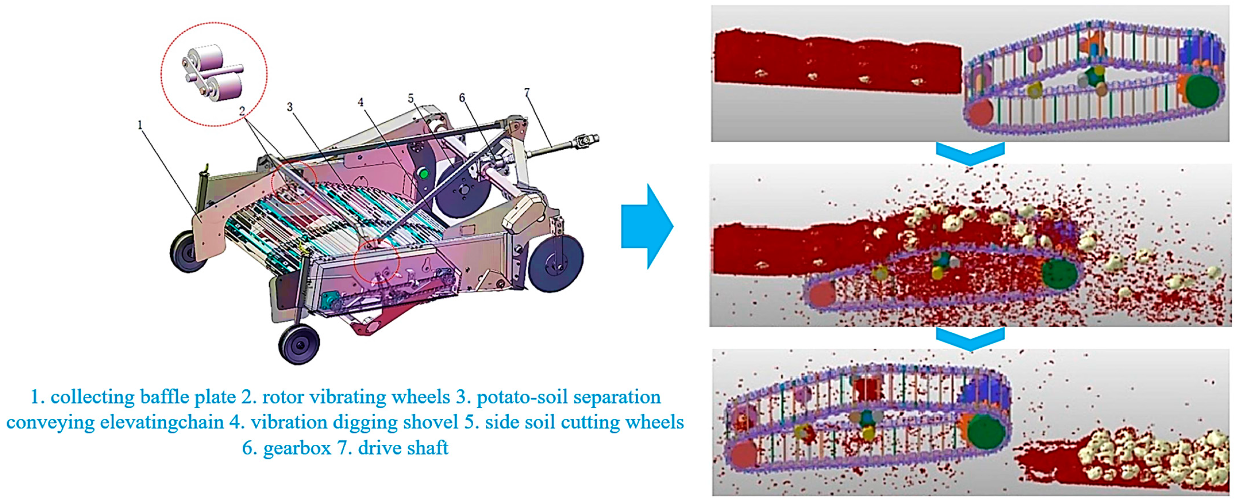 Agriculture 15 00315 g007