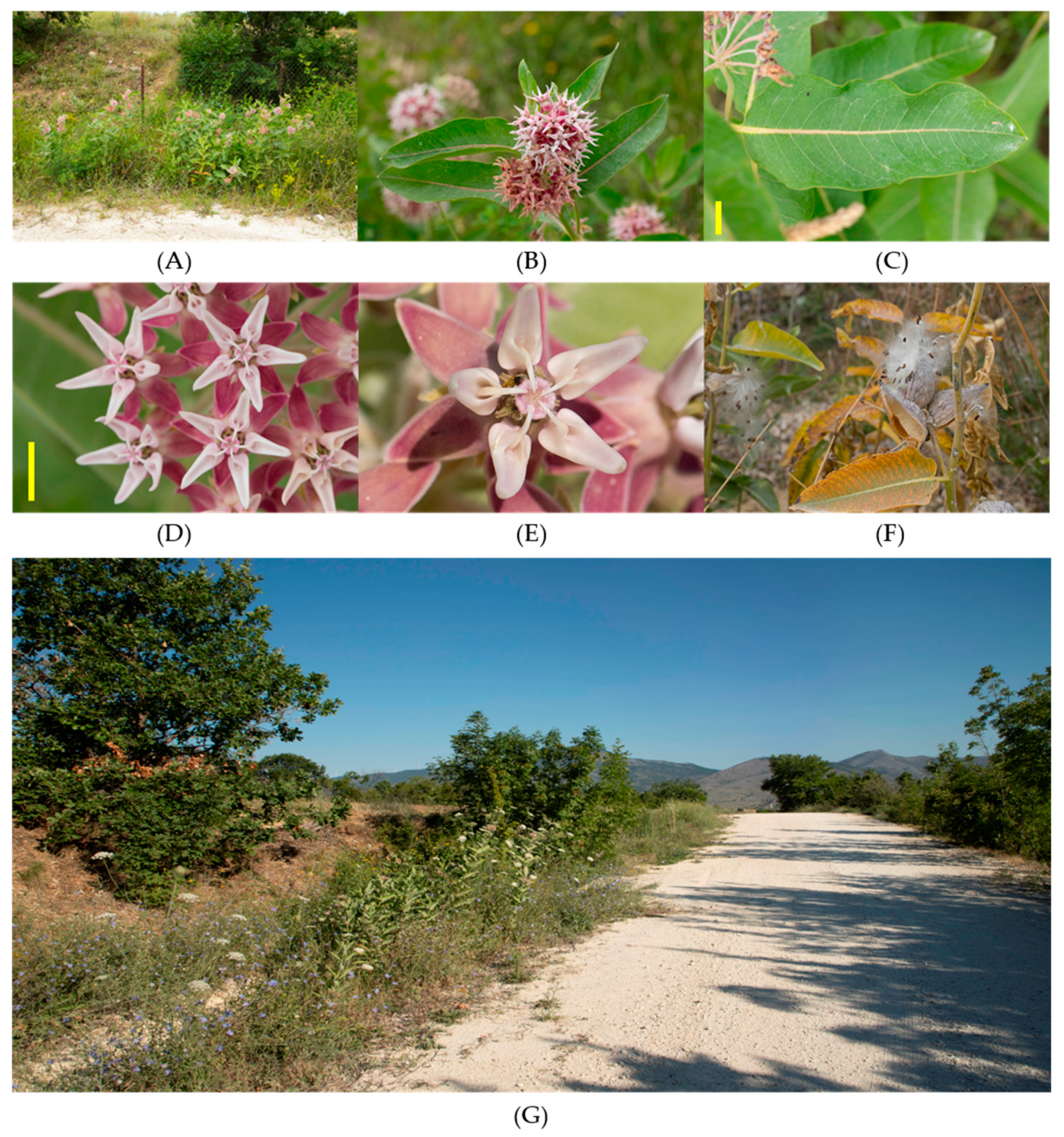 Agriculture 15 00324 g004