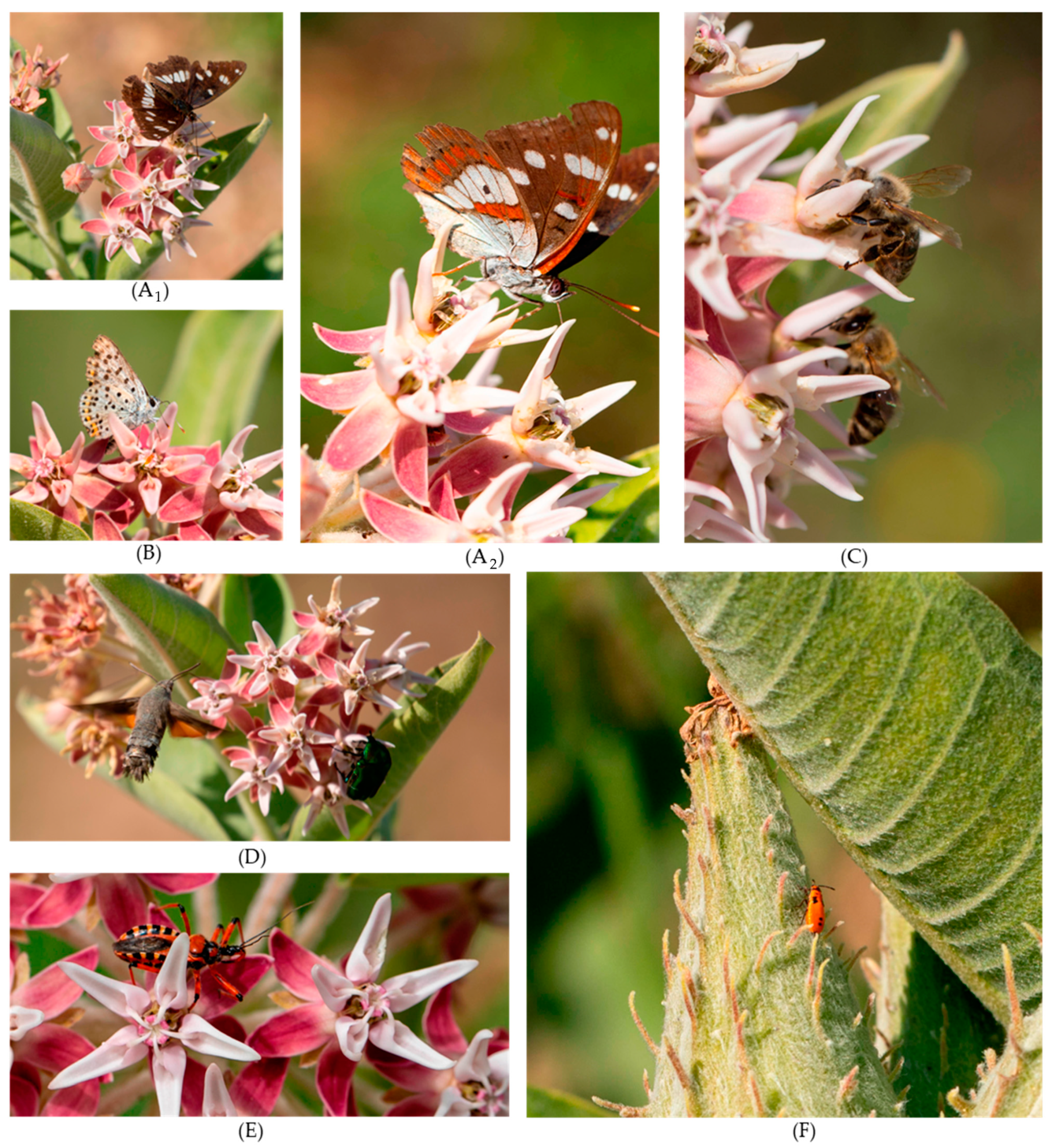 Agriculture 15 00324 g005a