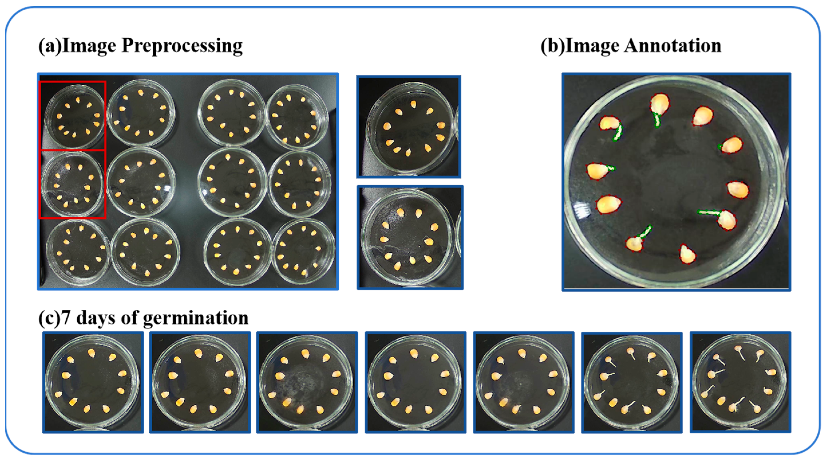 Agriculture 15 00325 g001