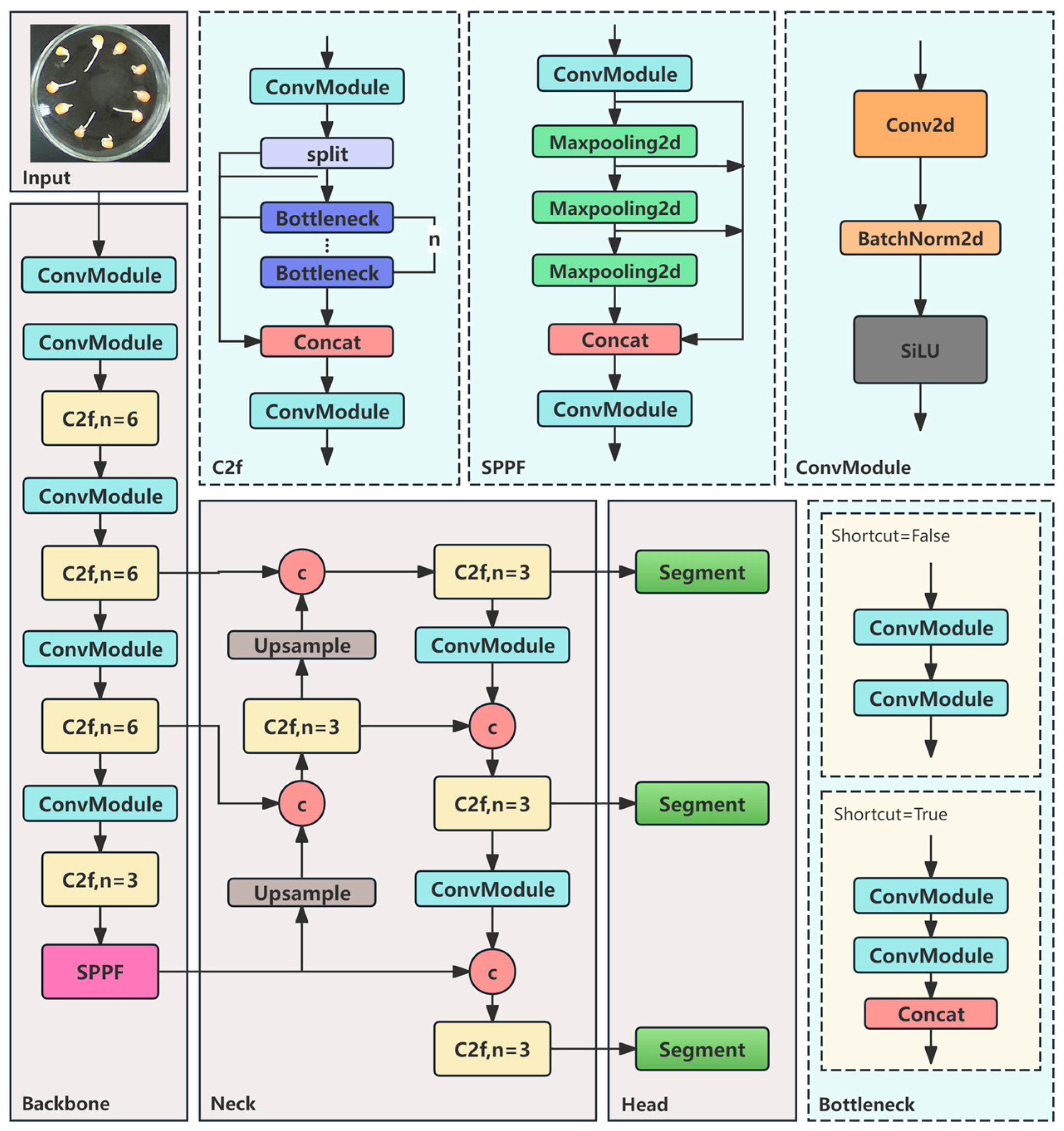 Agriculture 15 00325 g002