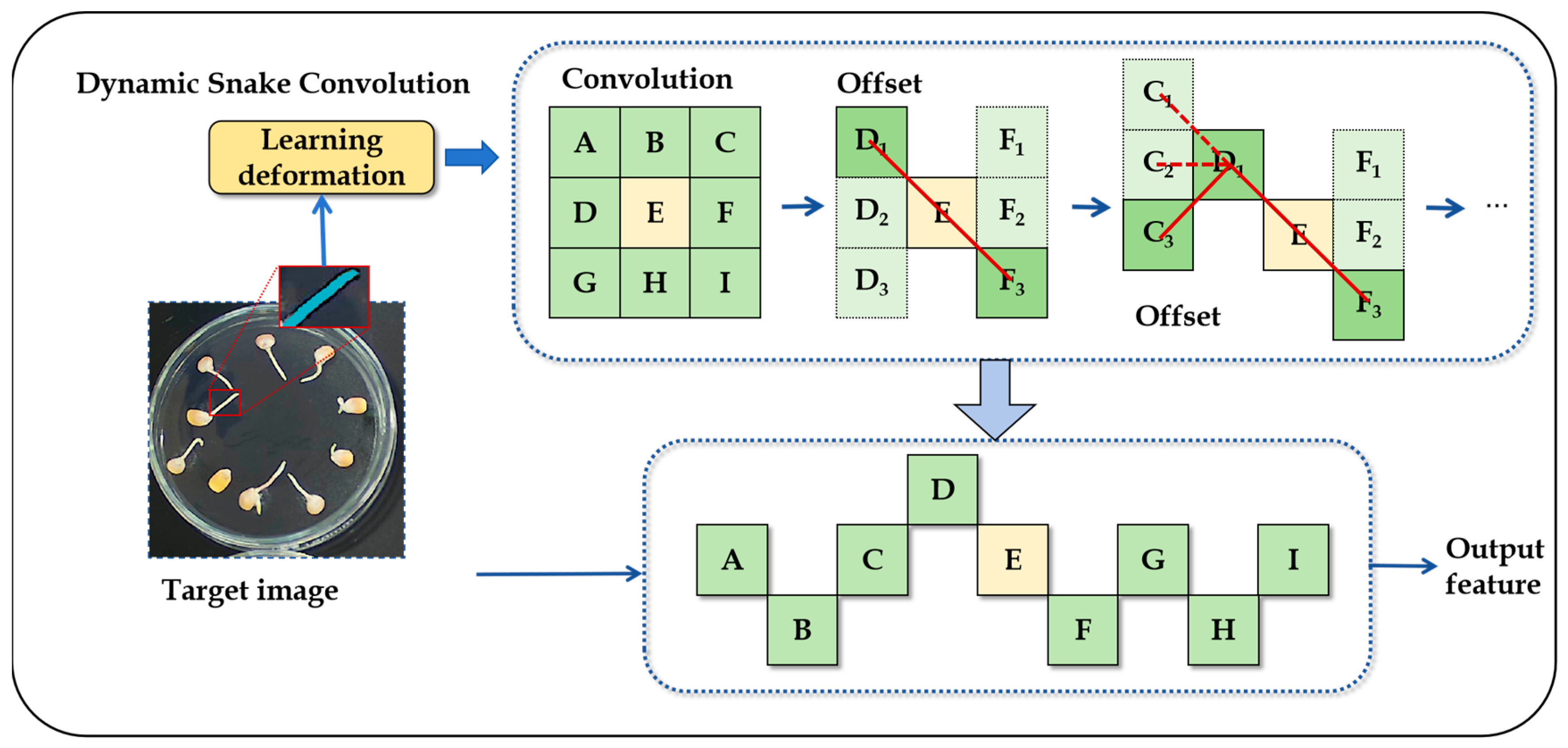 Agriculture 15 00325 g005