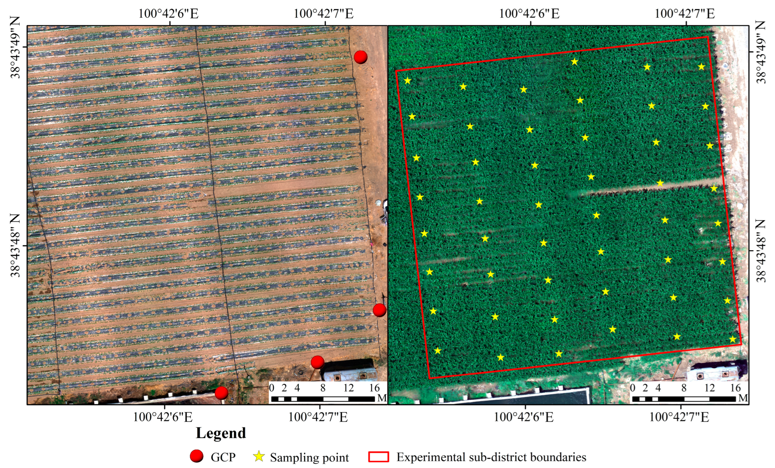 Agriculture 15 00331 g004