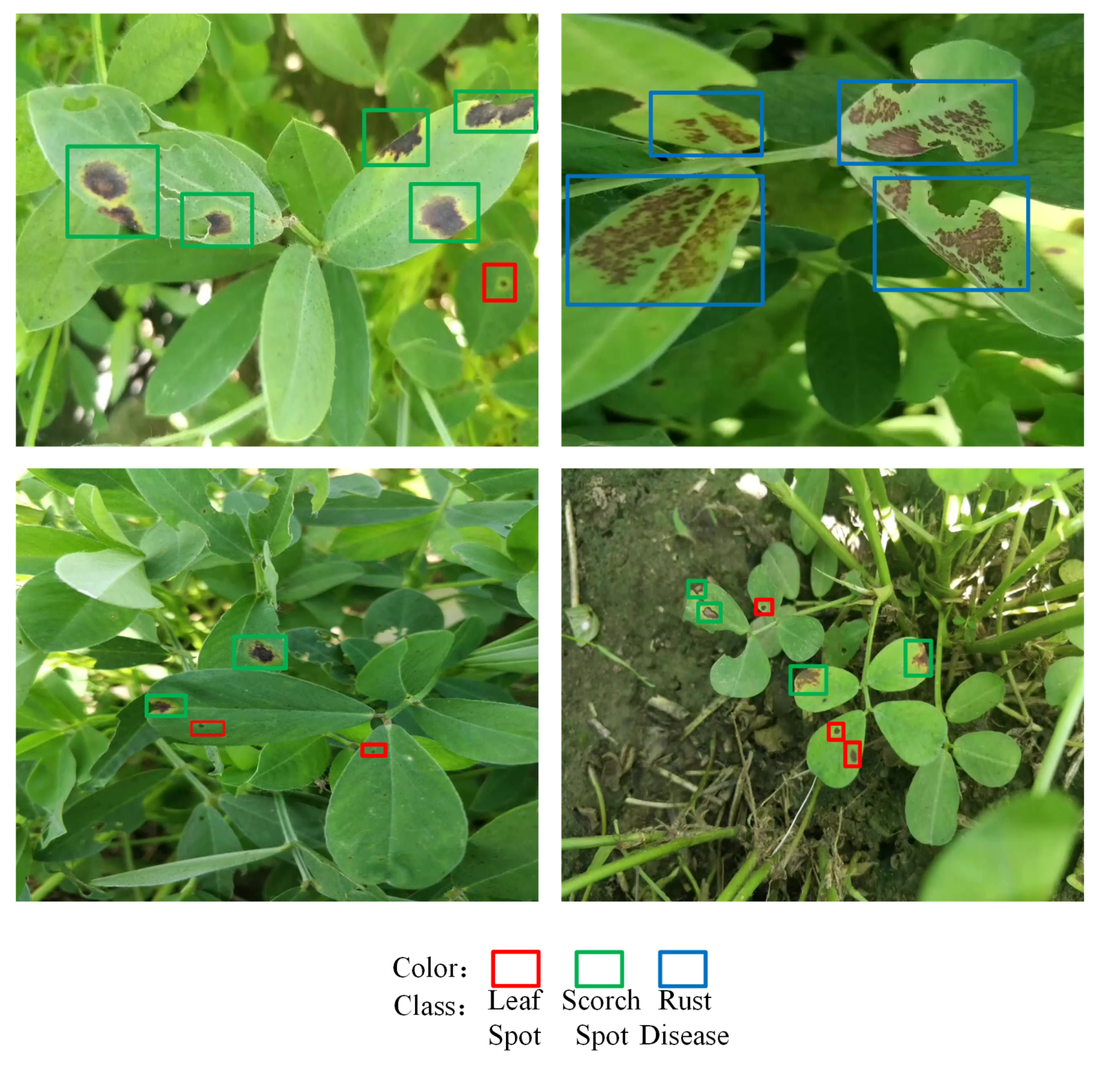 Agriculture 15 00332 g009